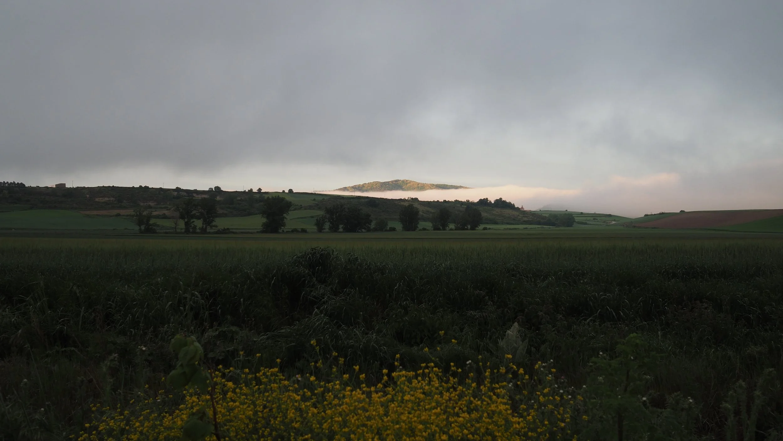 P5080867.JPG