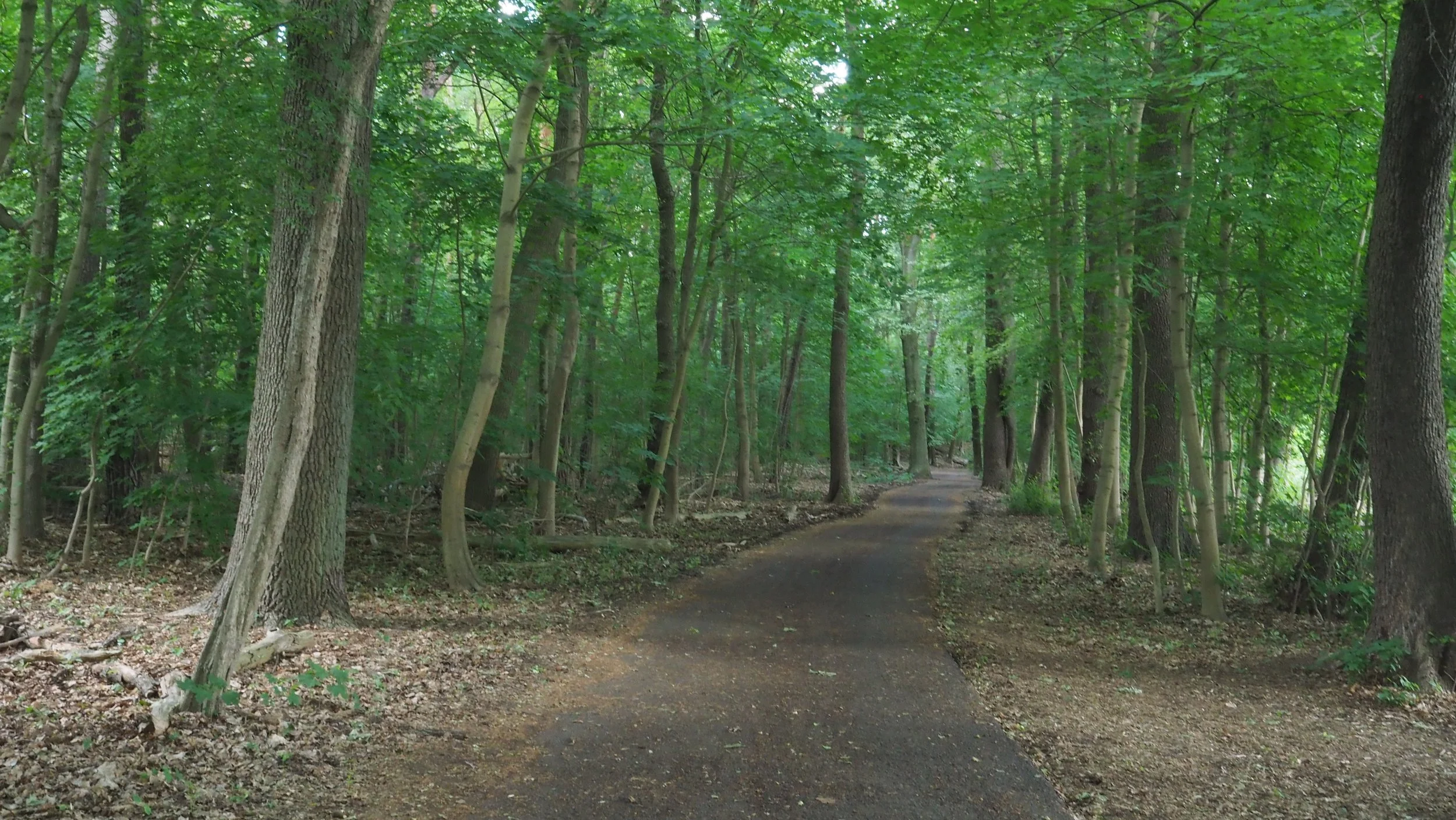 about walking
