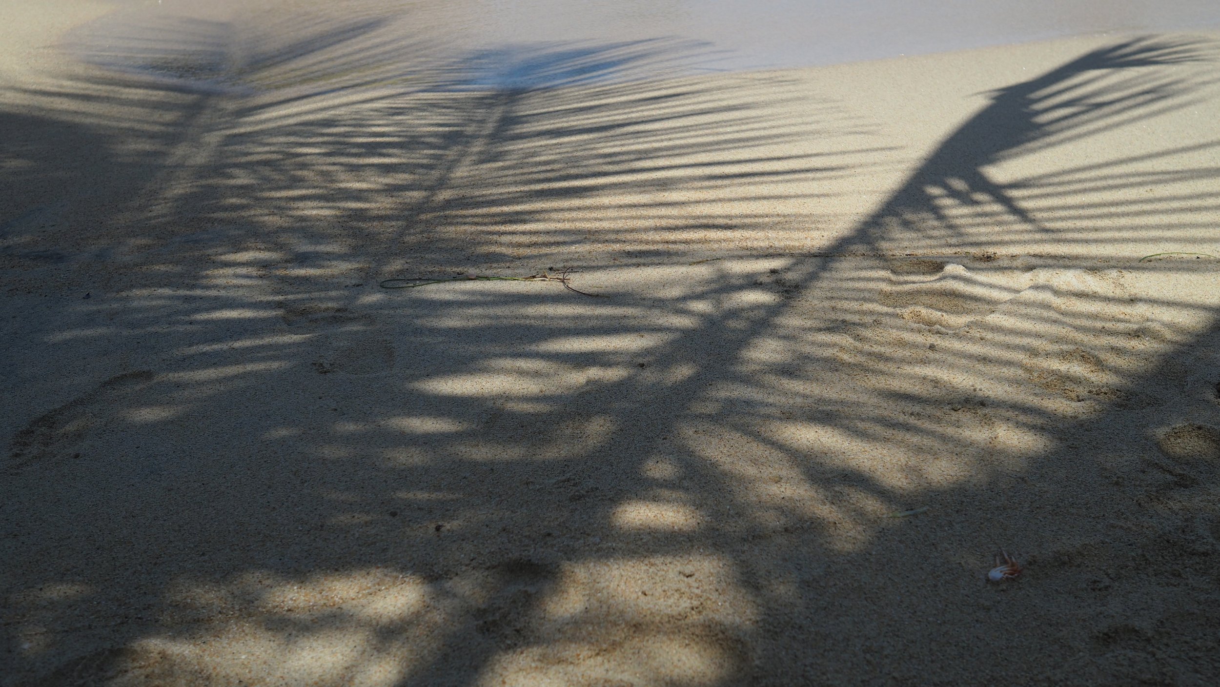 P9200292.JPG