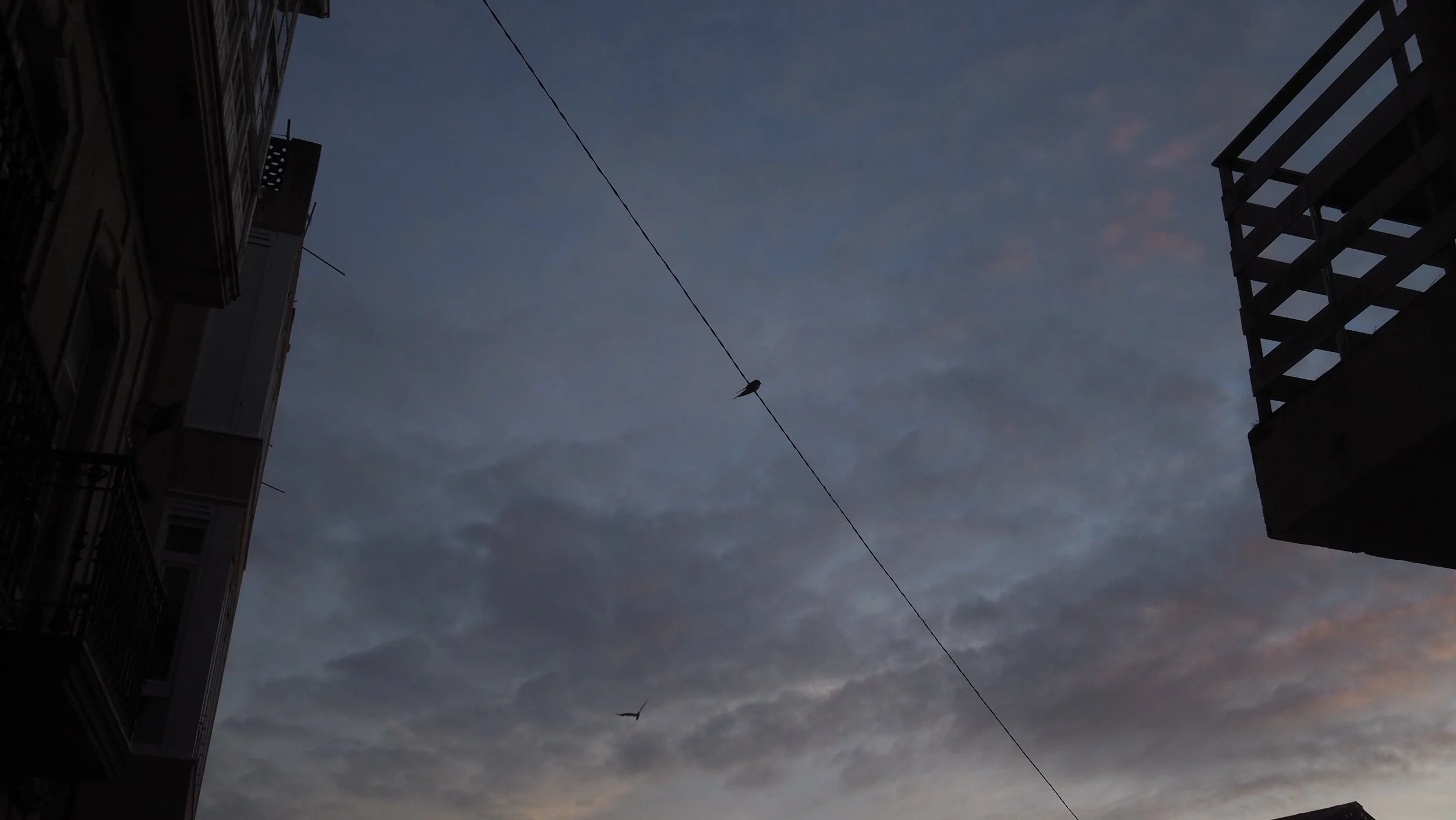P6050009.JPG
