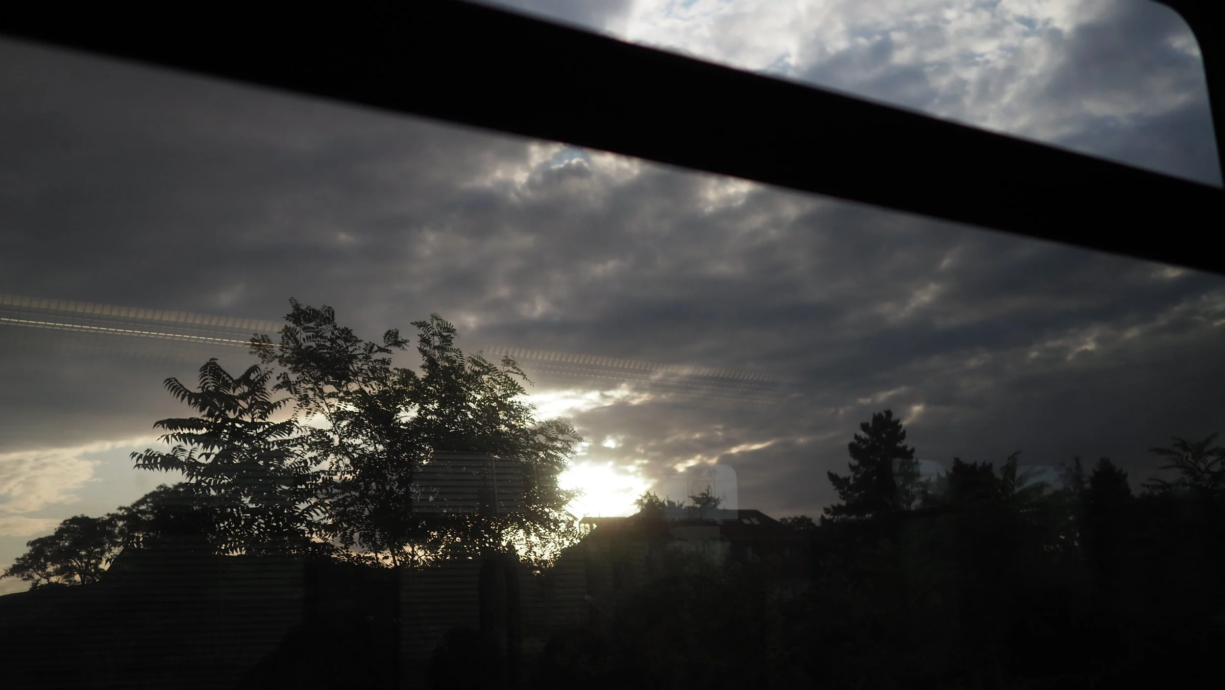 P8100010.JPG