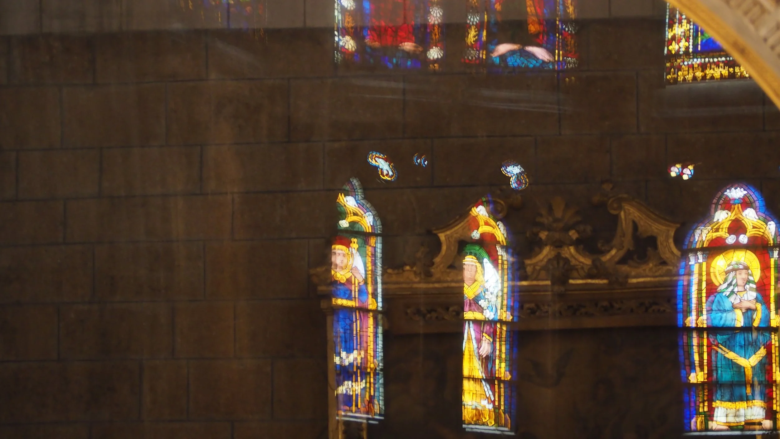 P5192343.JPG