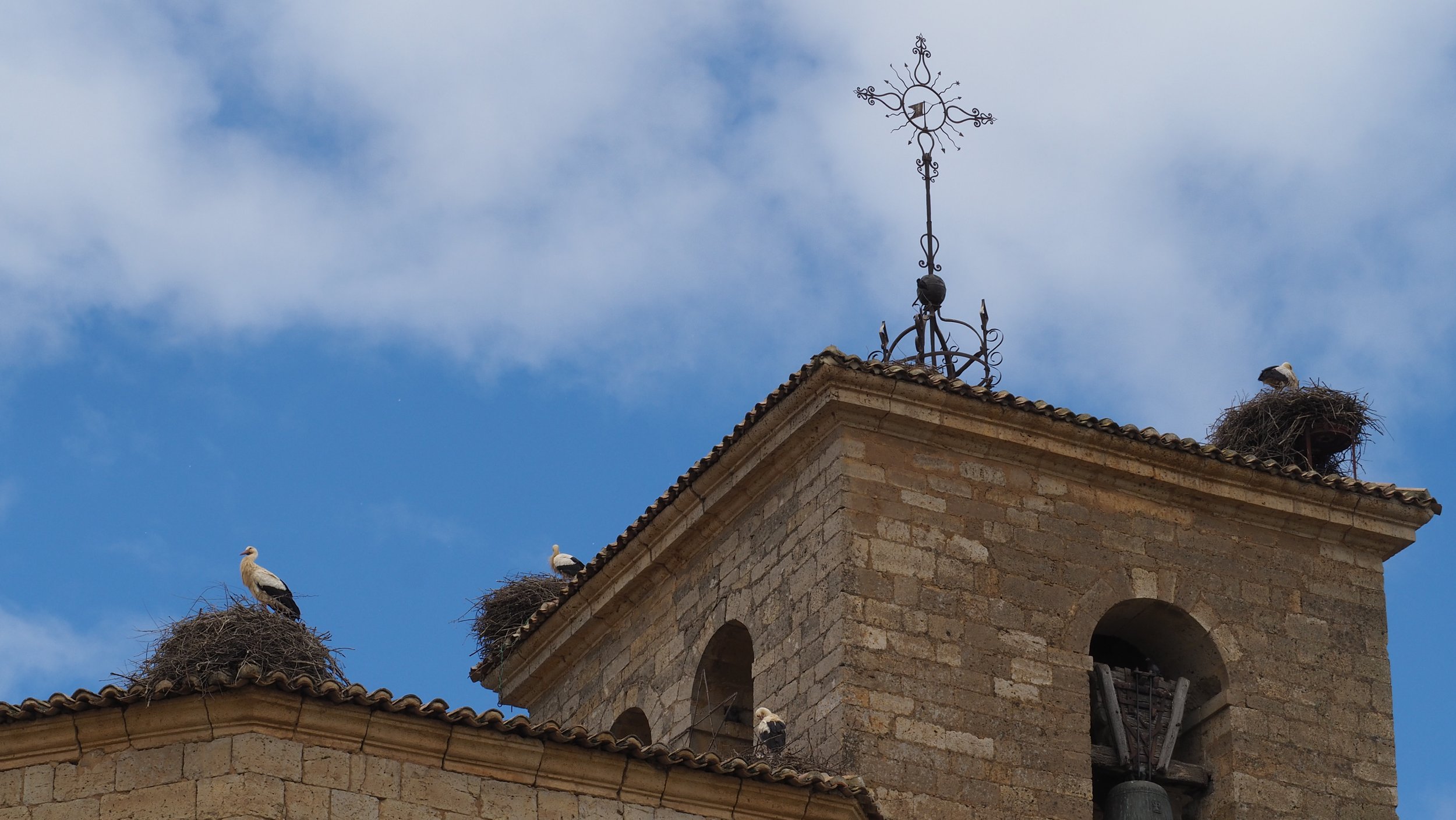 P5131631.JPG