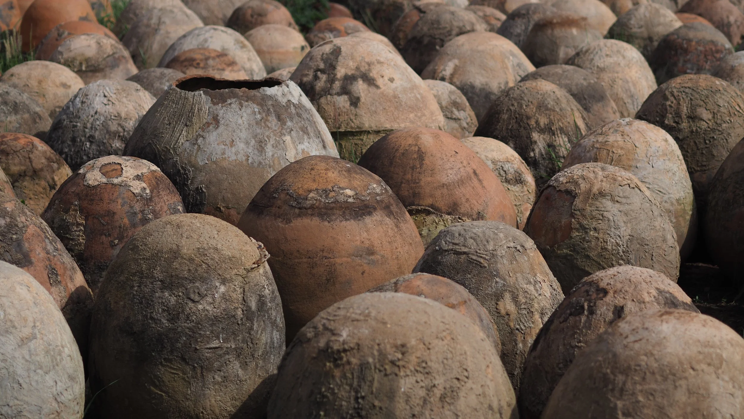 PA180320.JPG