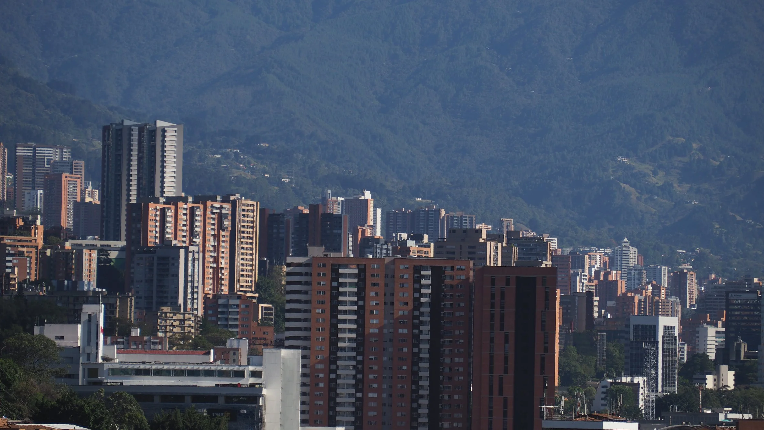 P9080033.JPG
