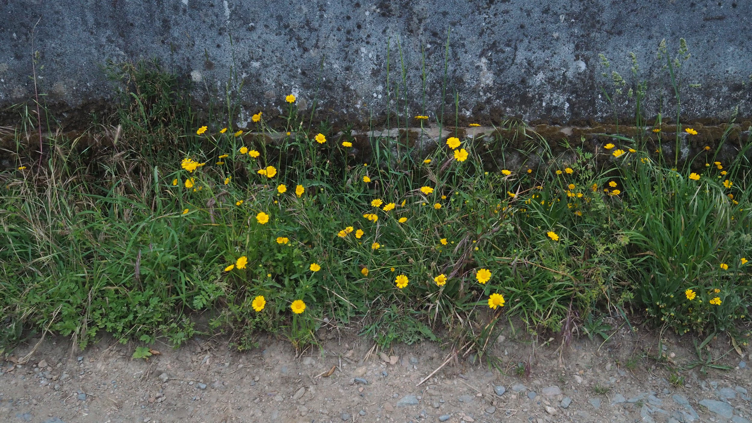 P5300006.JPG