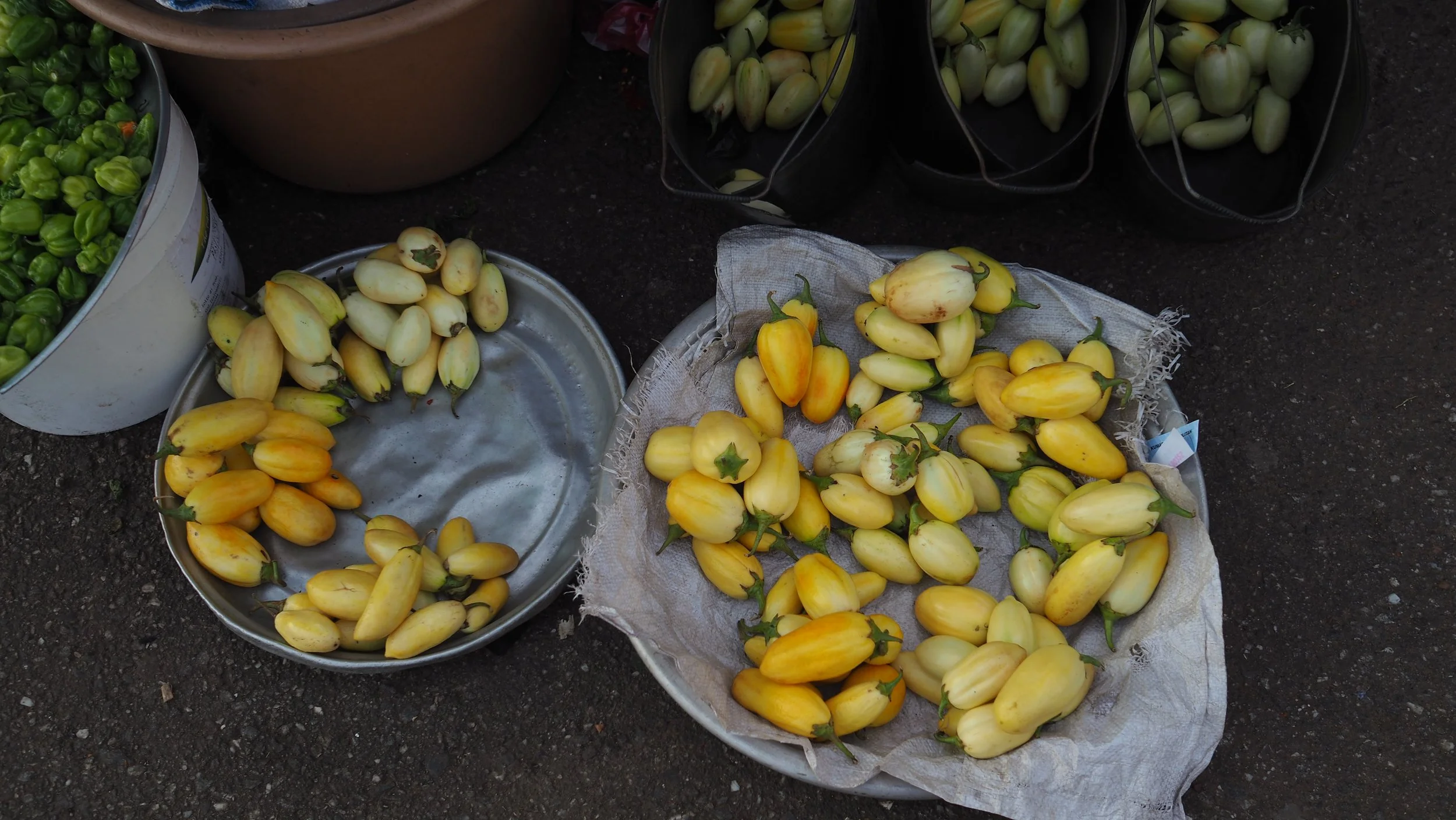 PA120219.JPG