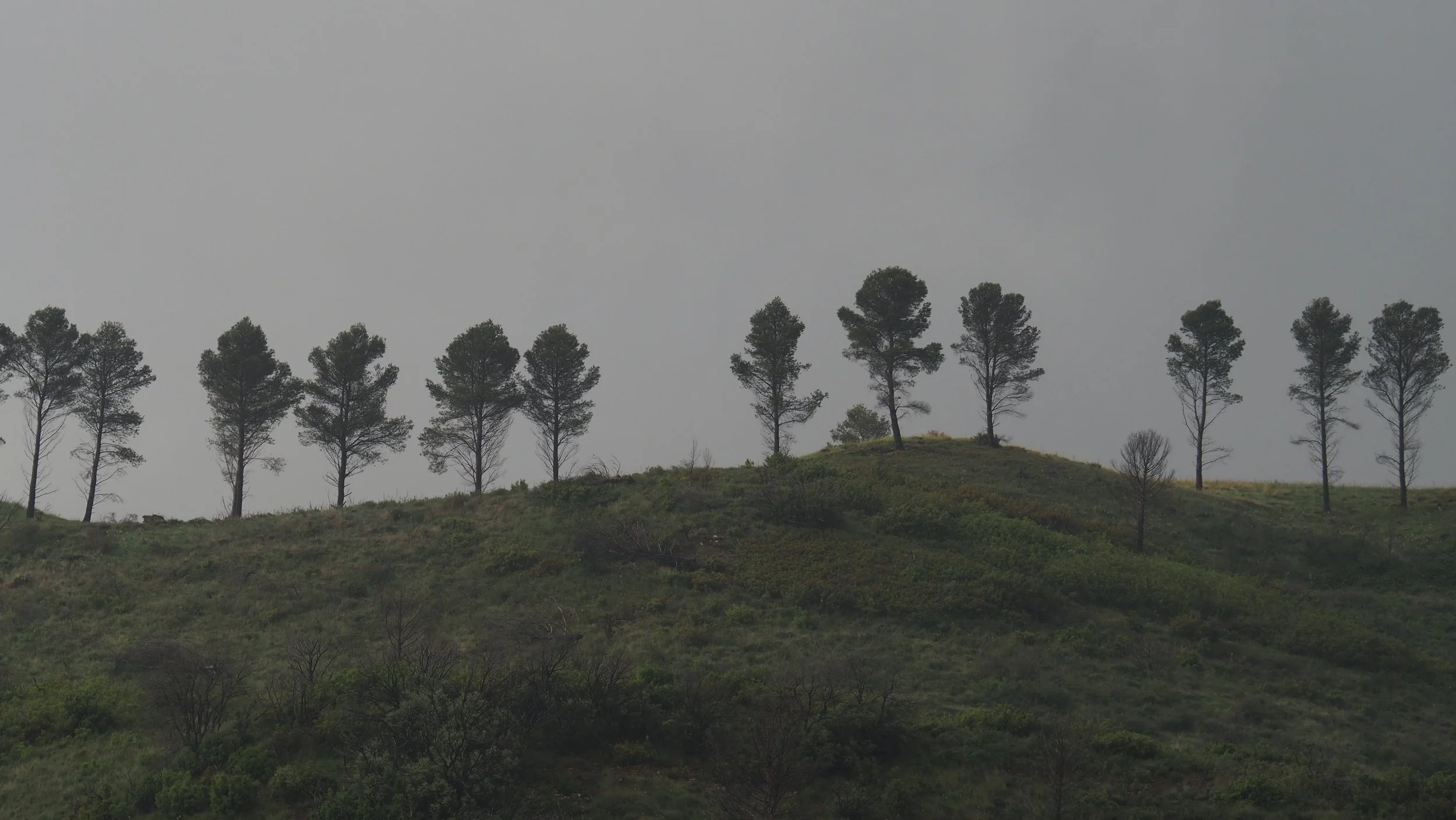 P5040481.JPG