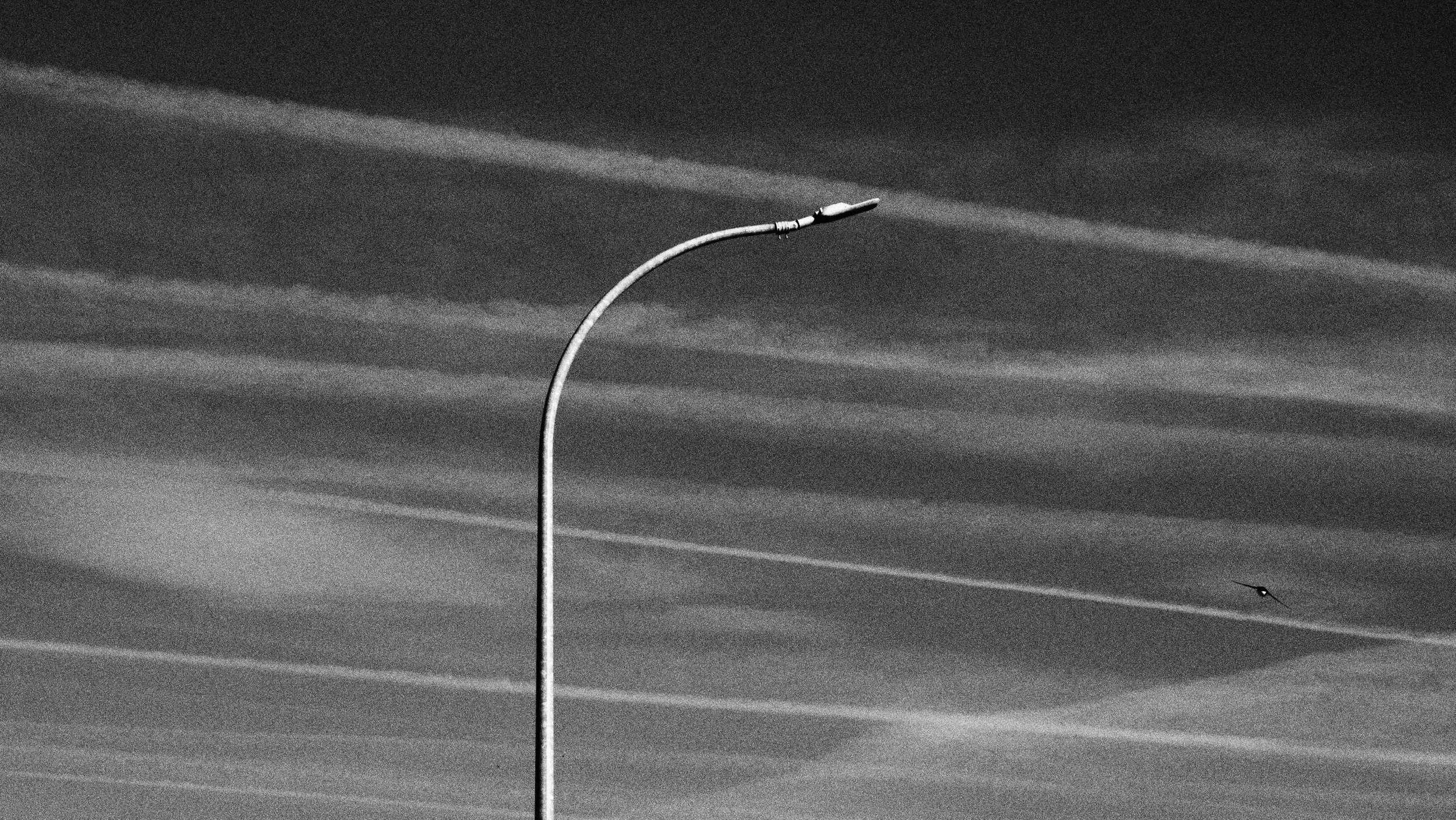 P5182239.JPG