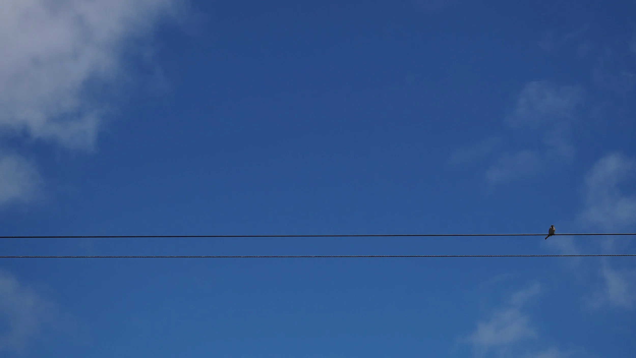 P6010338.JPG