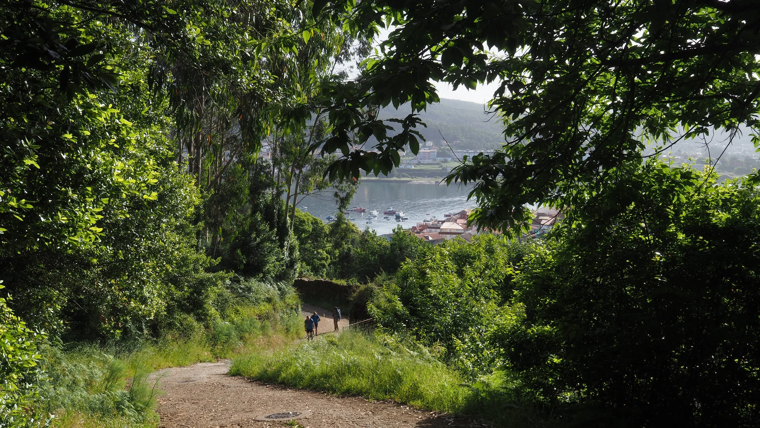 P6050034.JPG