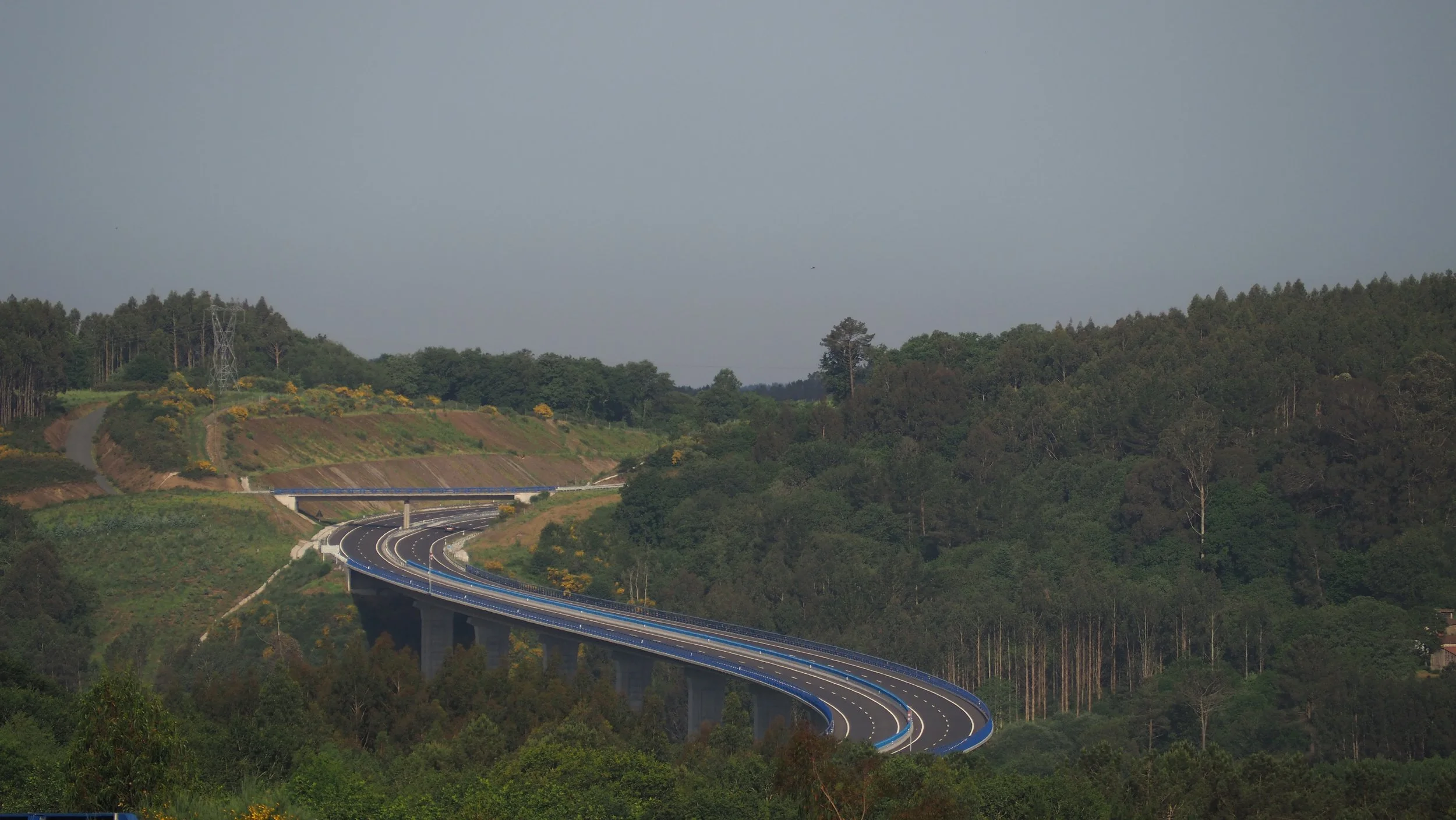 P5280429.JPG