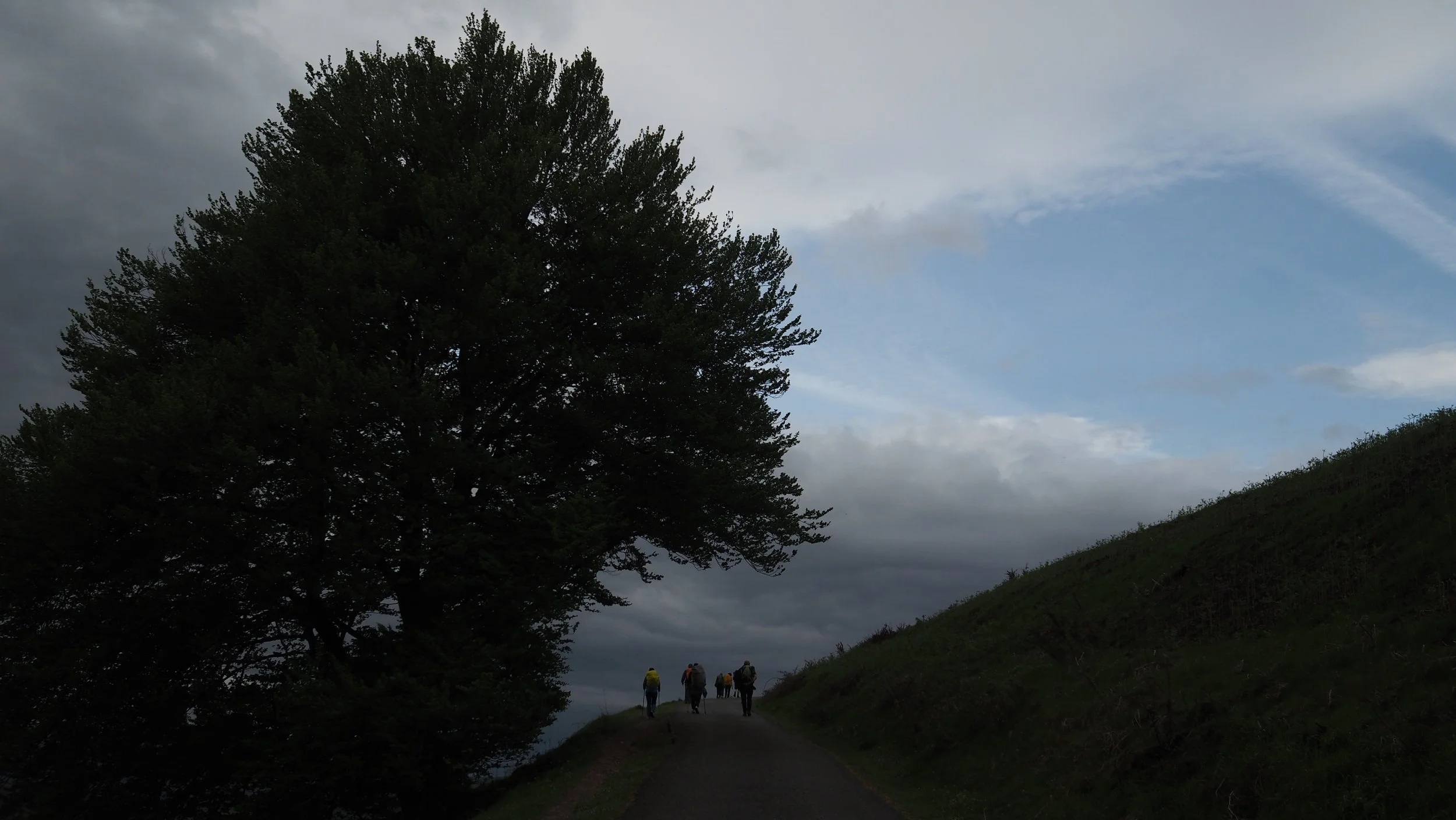 P4290009.JPG