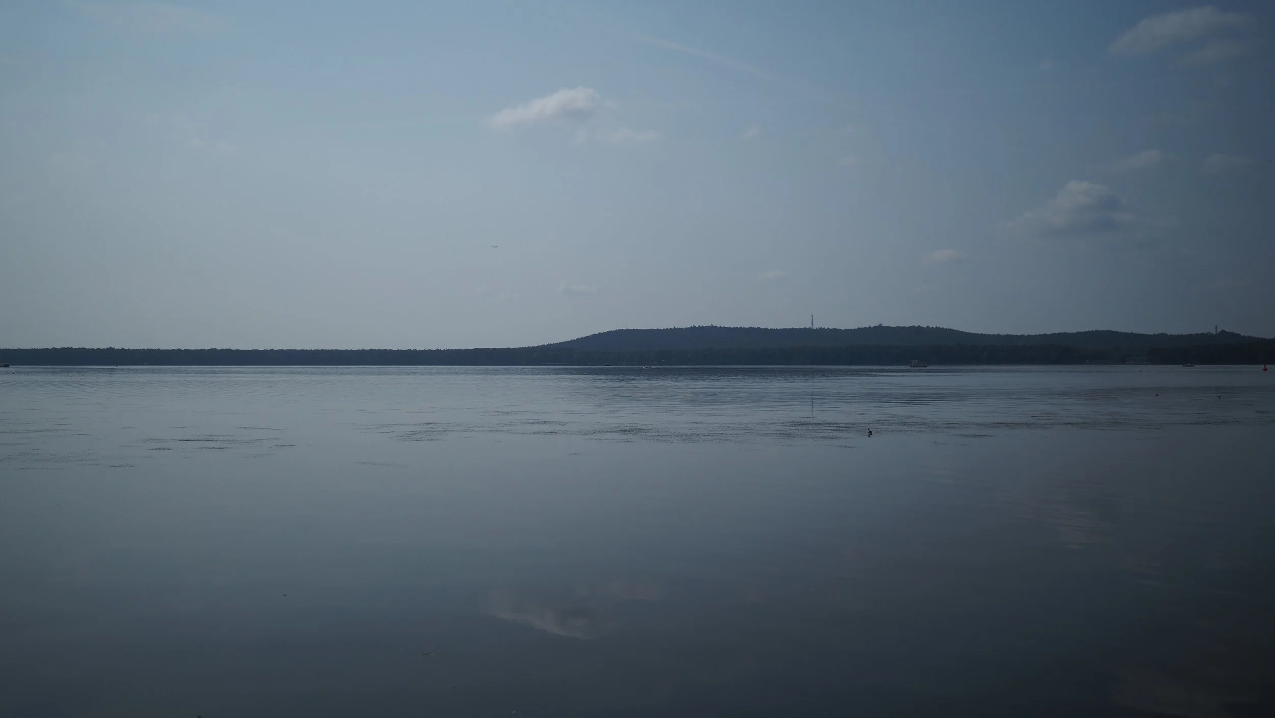P7310010.JPG