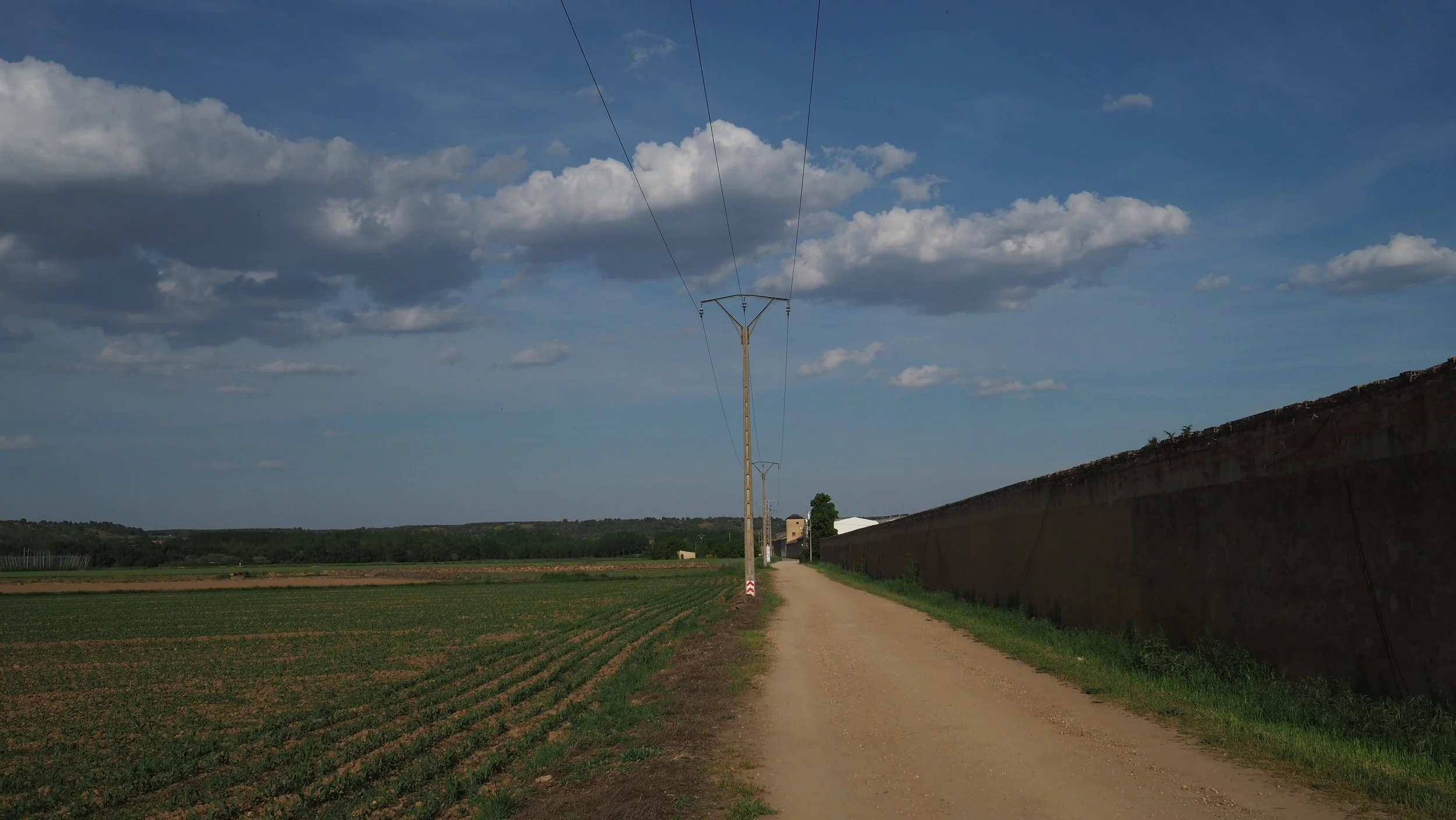 P5222493.JPG
