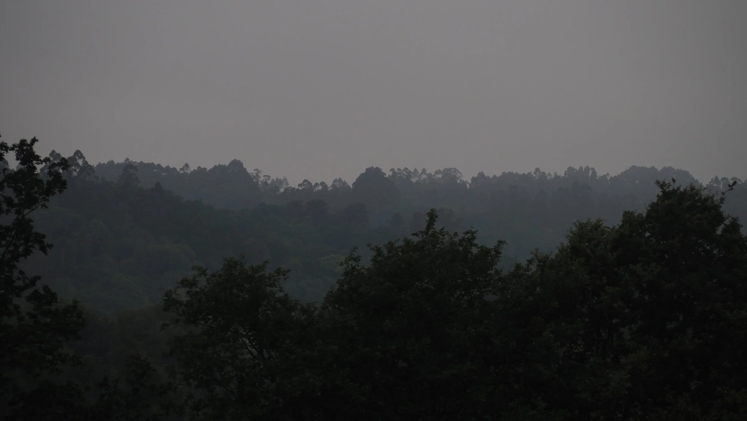 P5290079.JPG