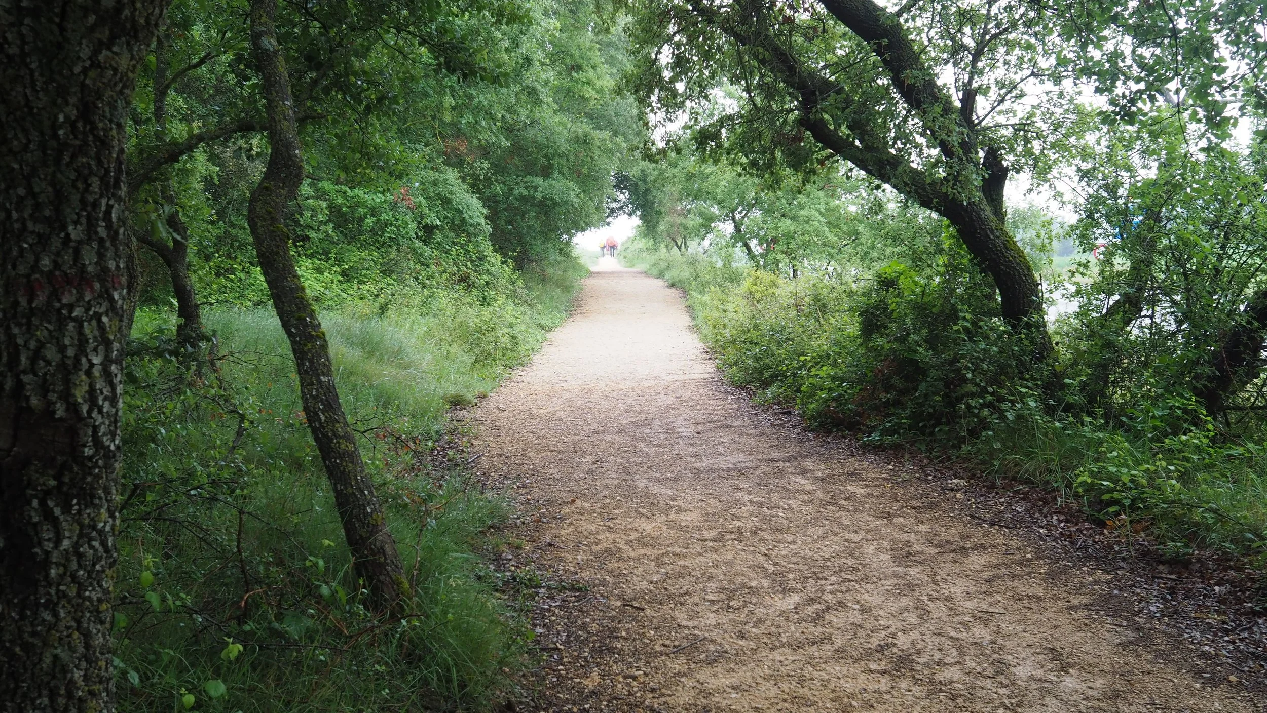 P5030351.JPG