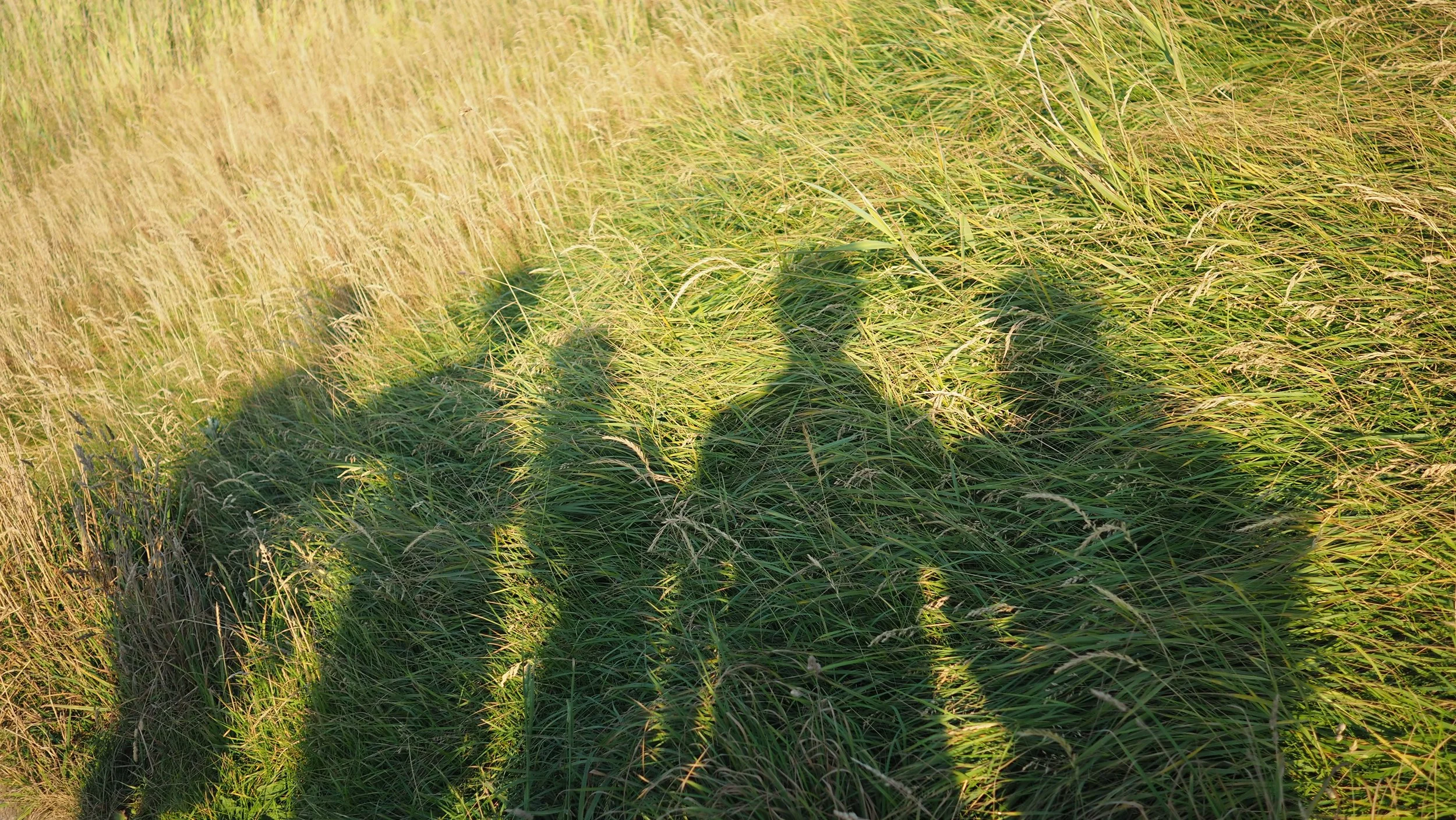 P7100157.JPG