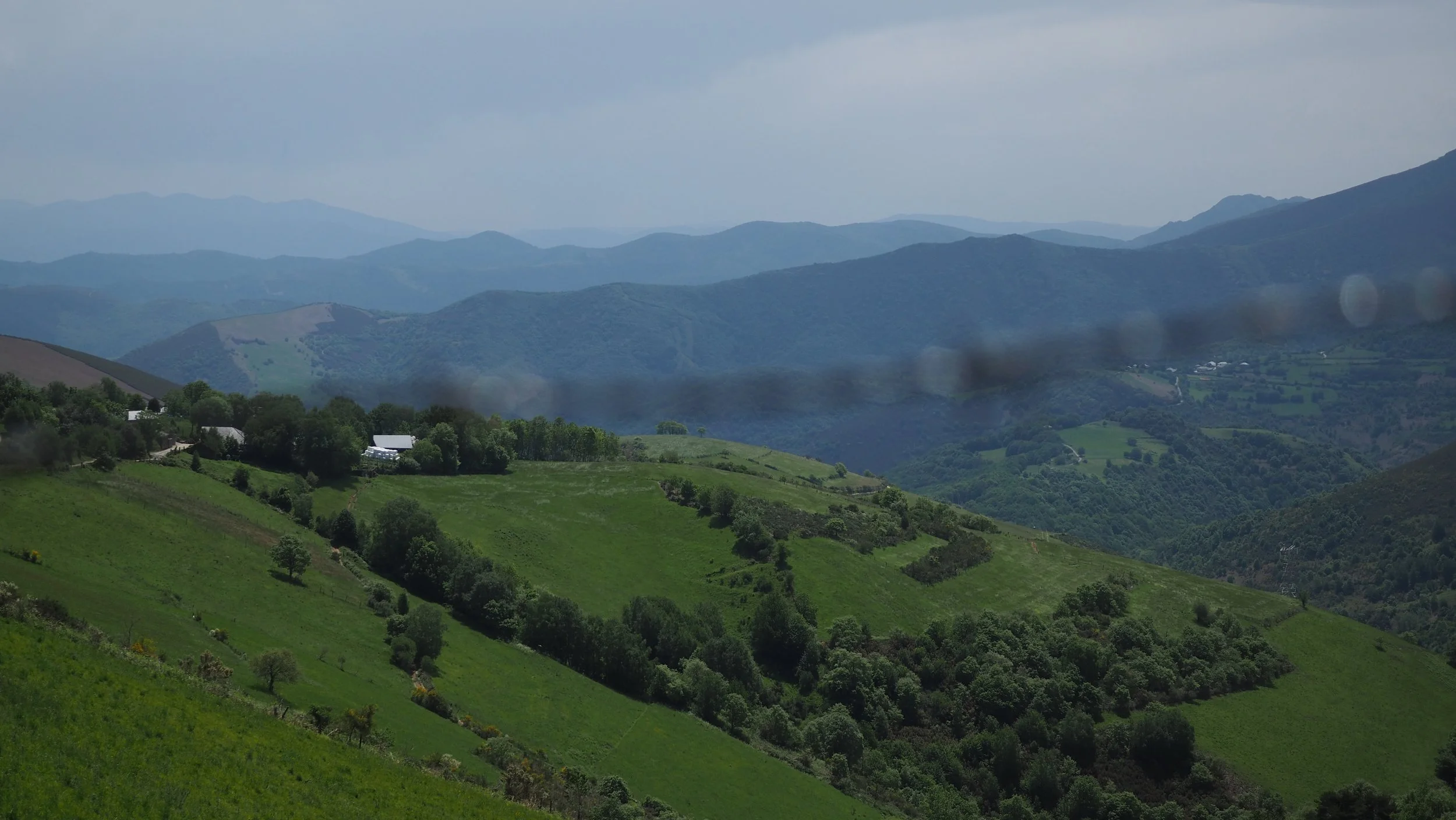 P5240105.JPG