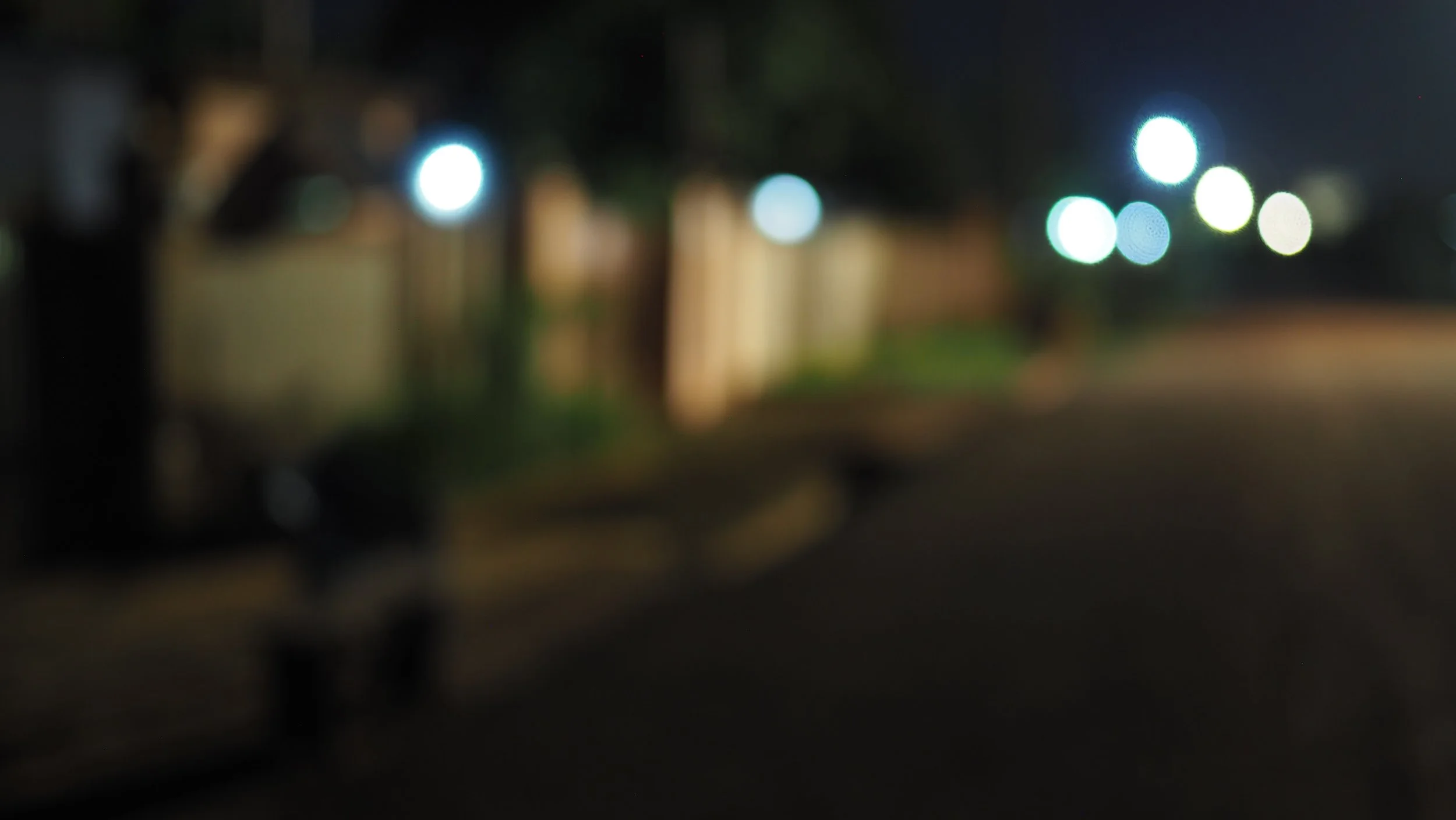 PA170175.JPG