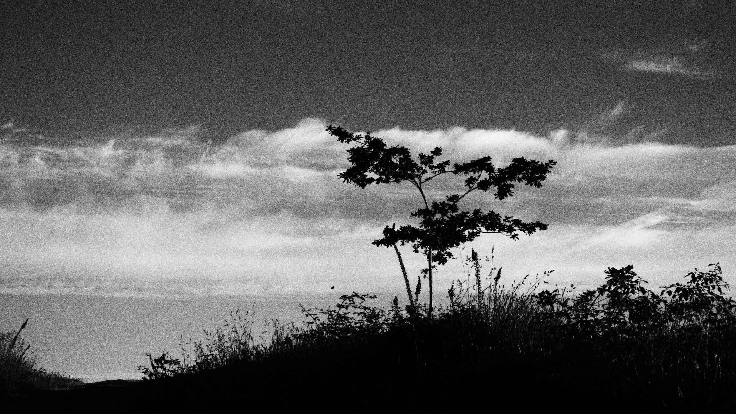 P6010270.JPG