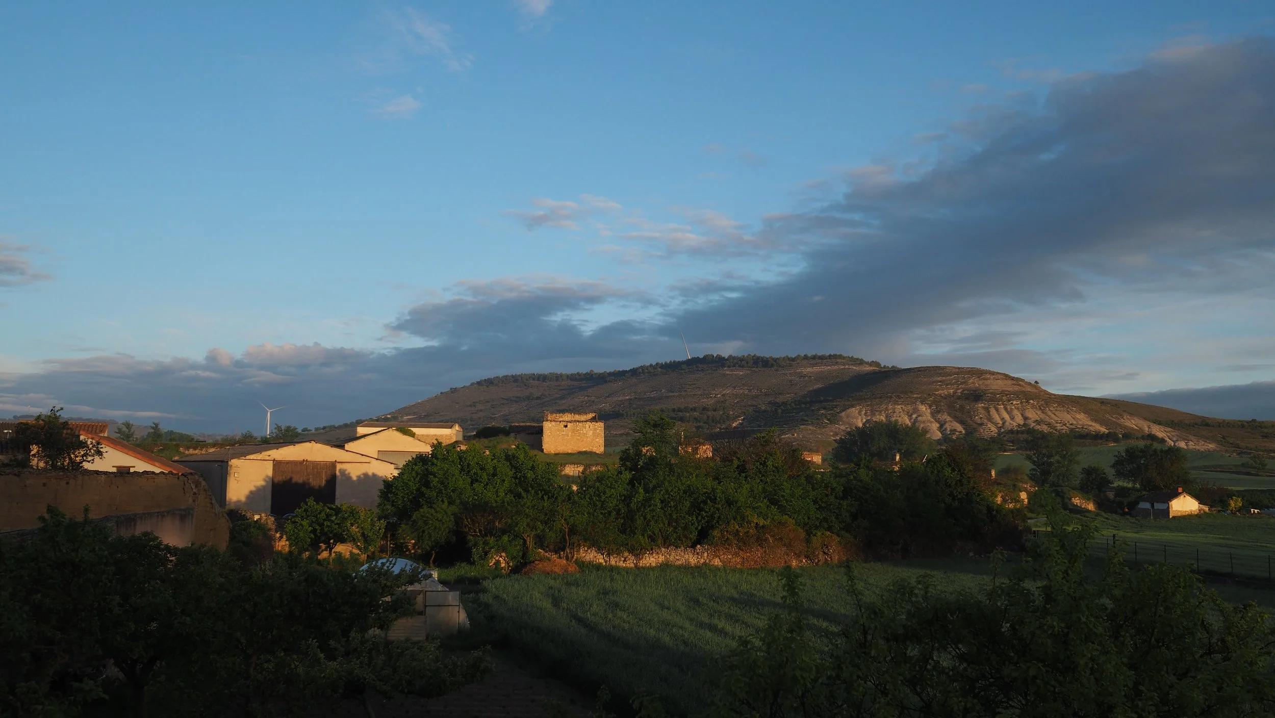 P5121345.JPG