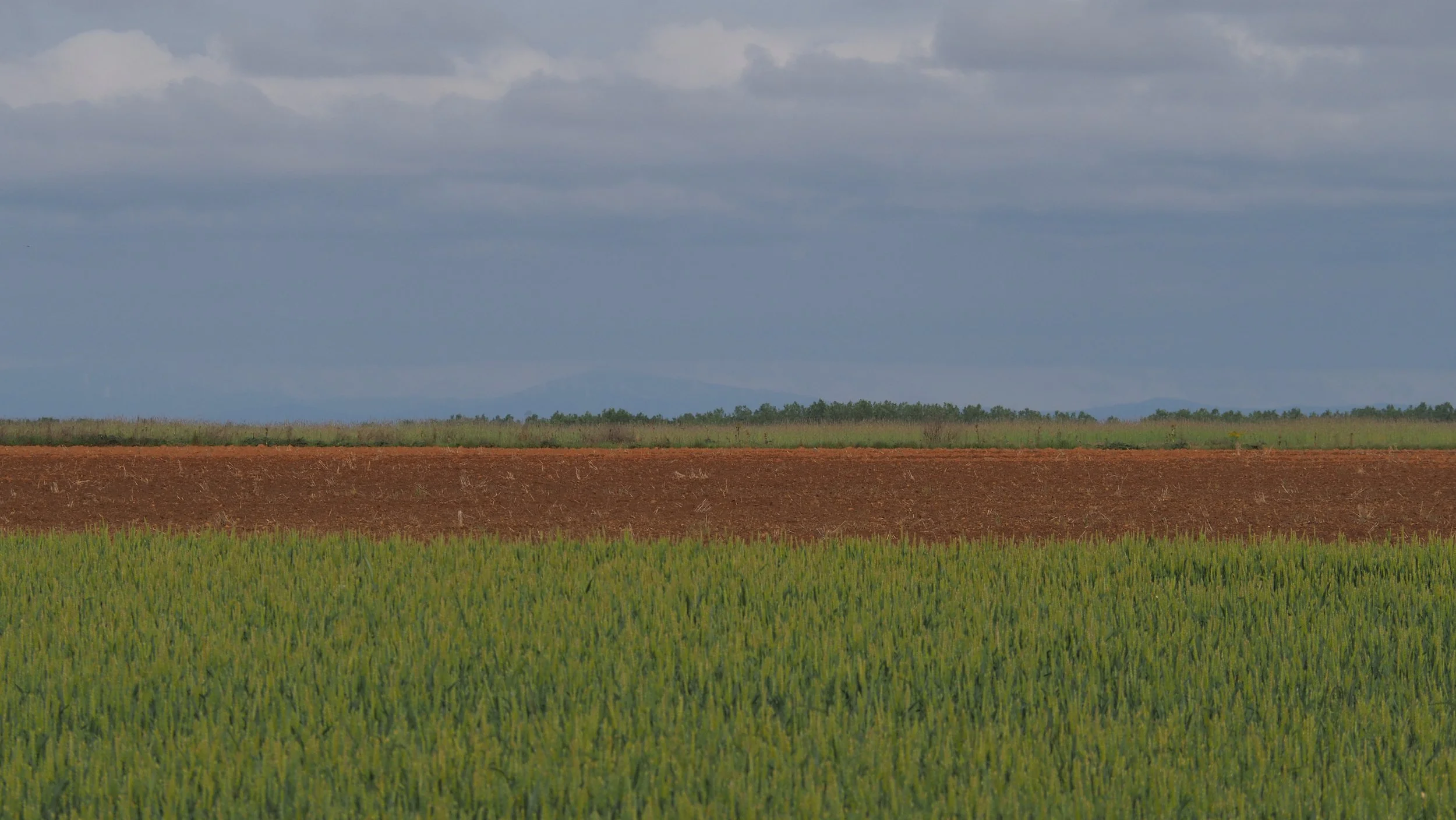 P5172142.JPG