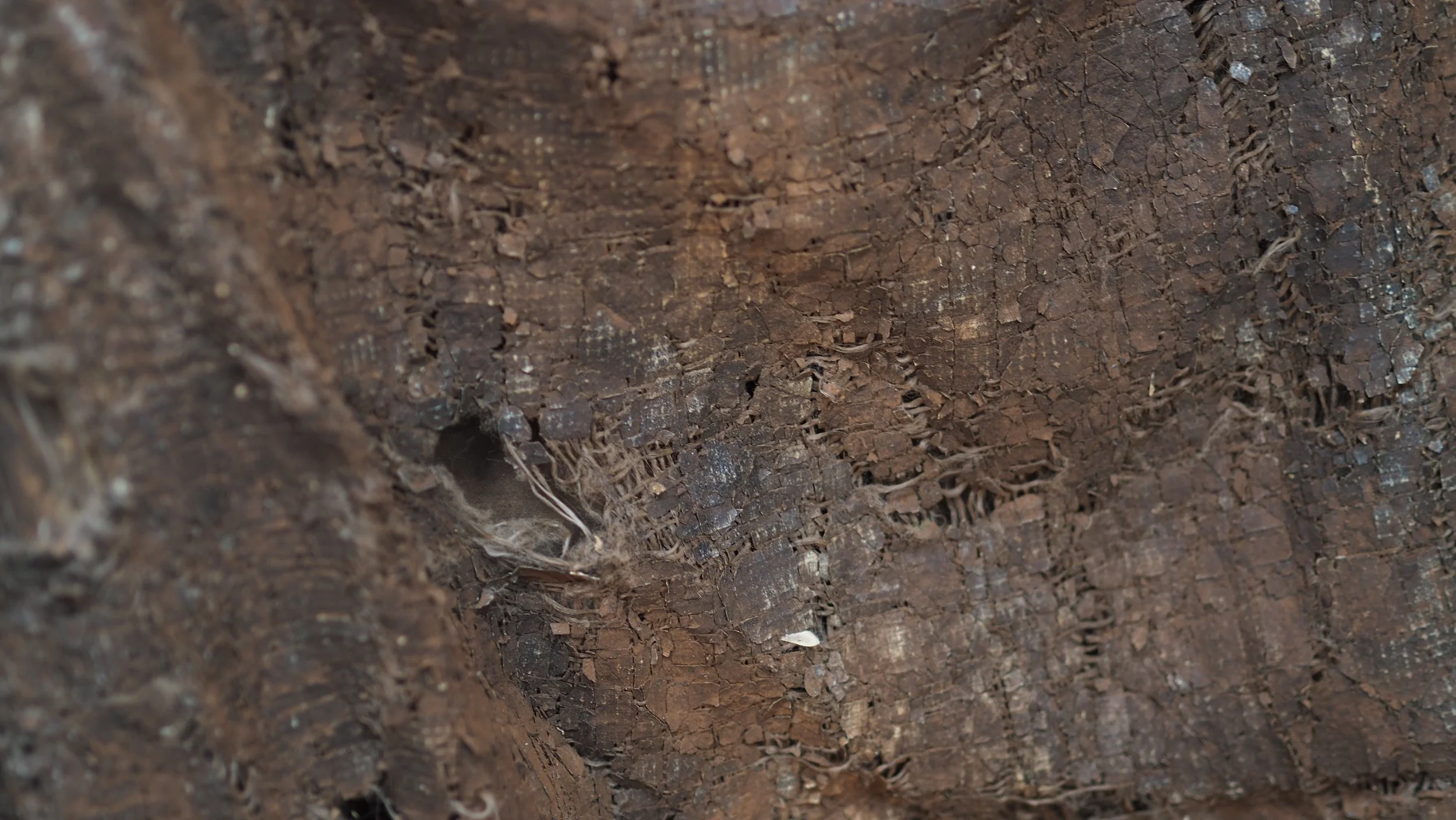 PA180214.JPG