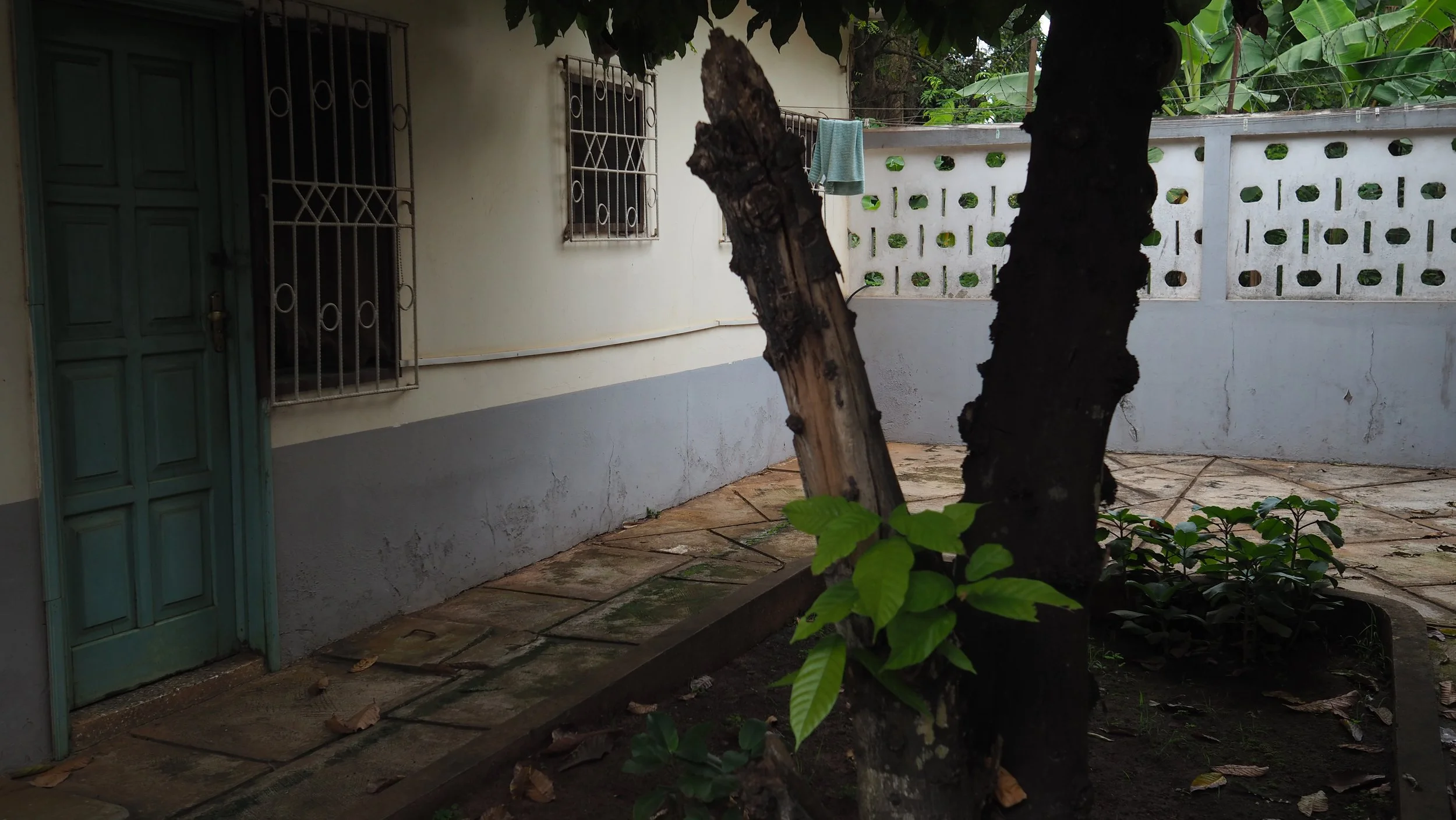 PA160053.JPG
