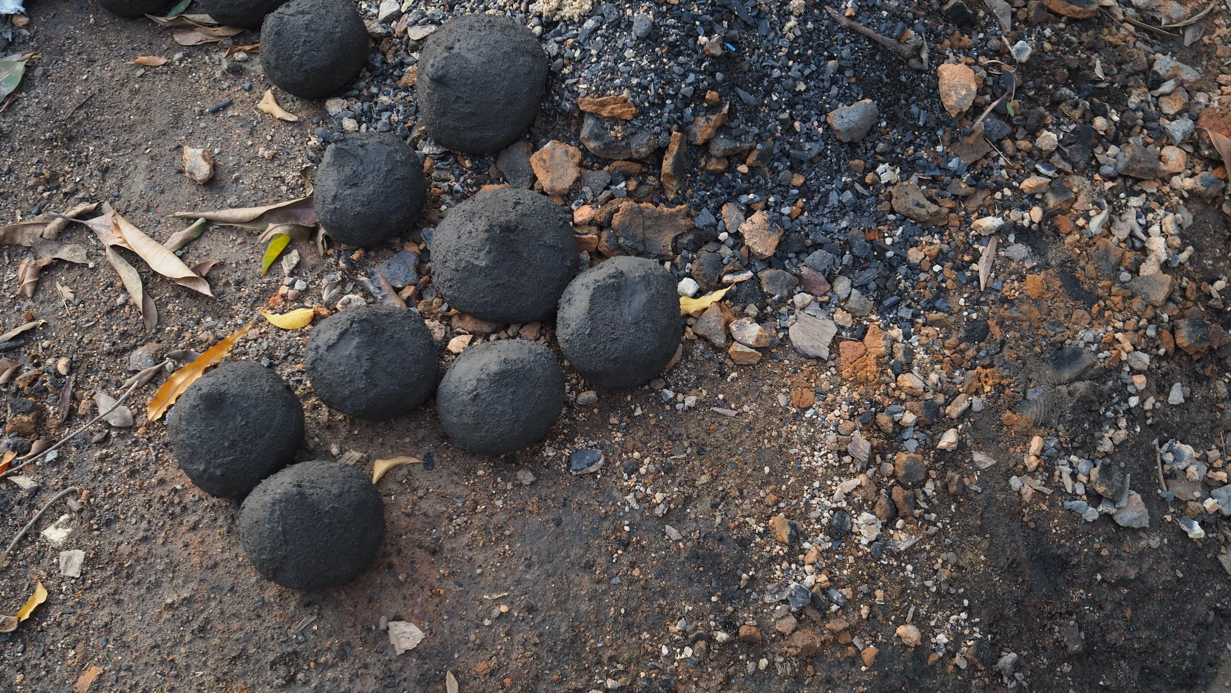 PA120252.JPG