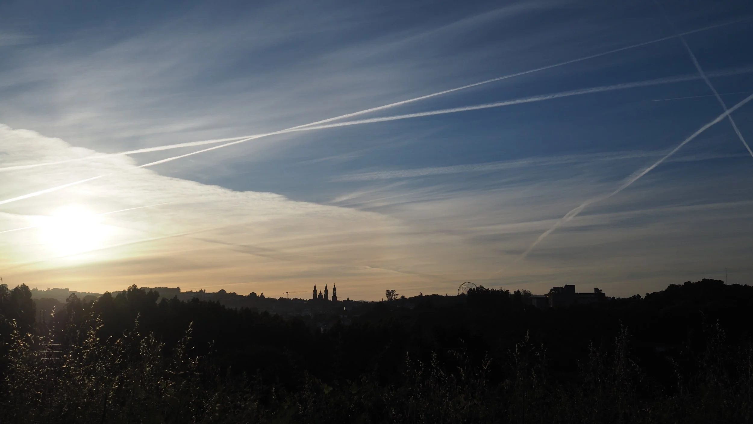 P5310131.JPG