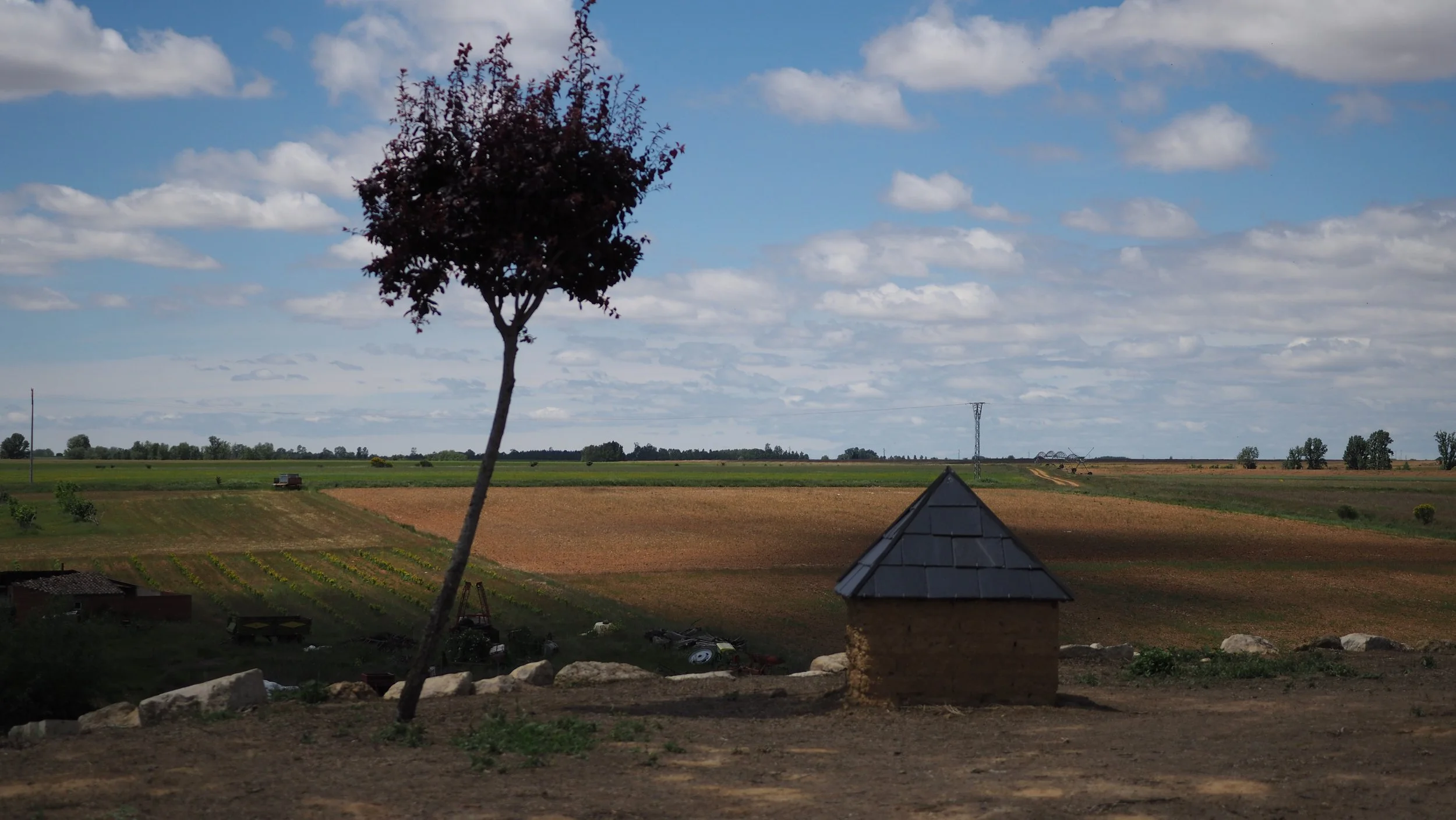 P5162015.JPG