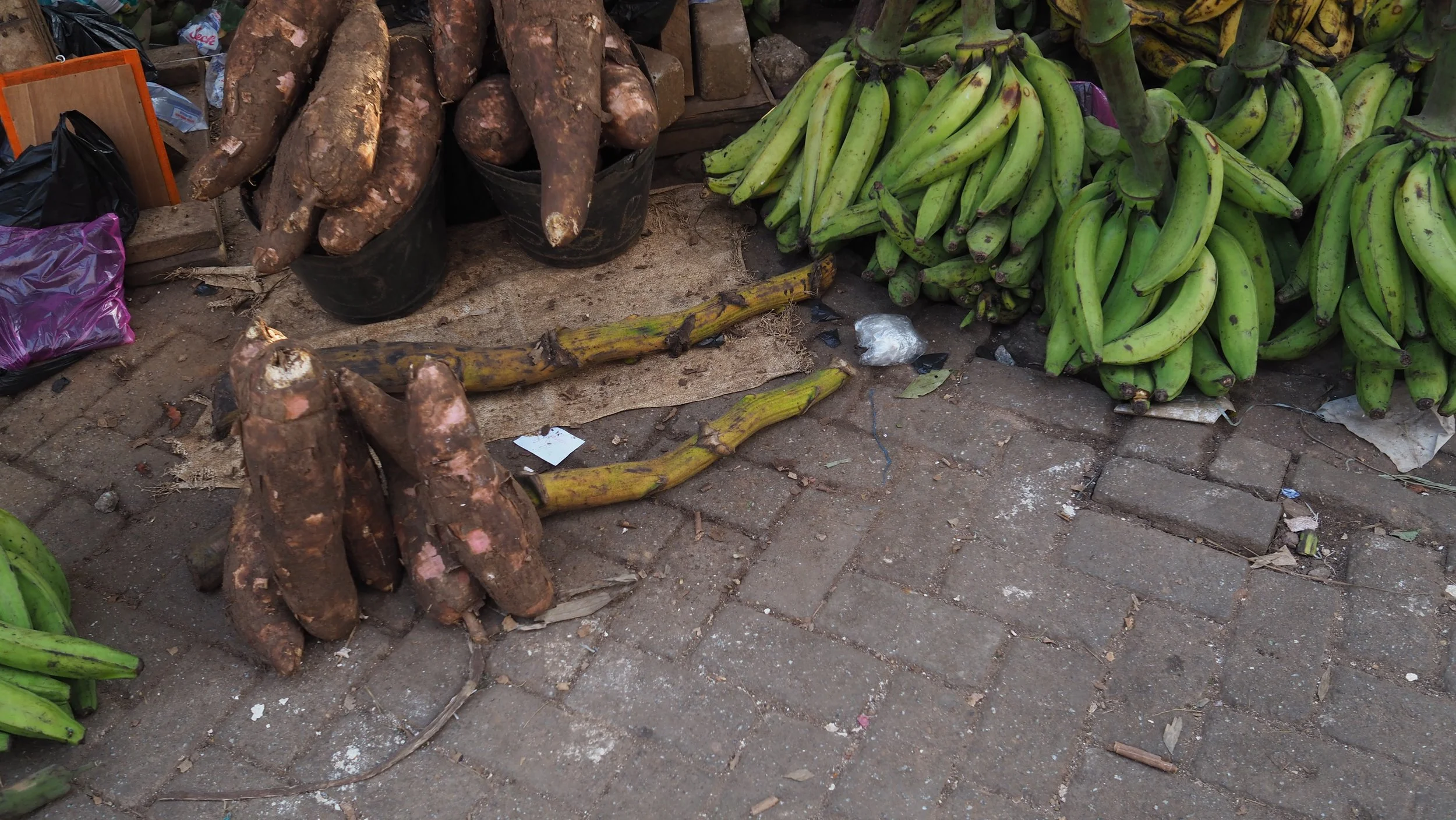 PA120210.JPG