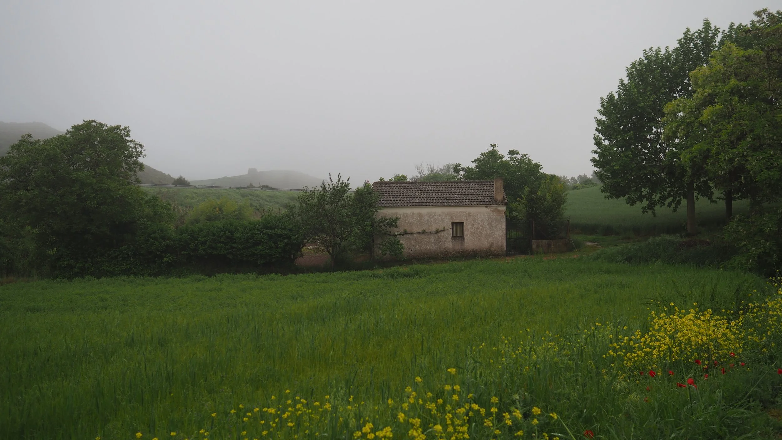P5040463.JPG
