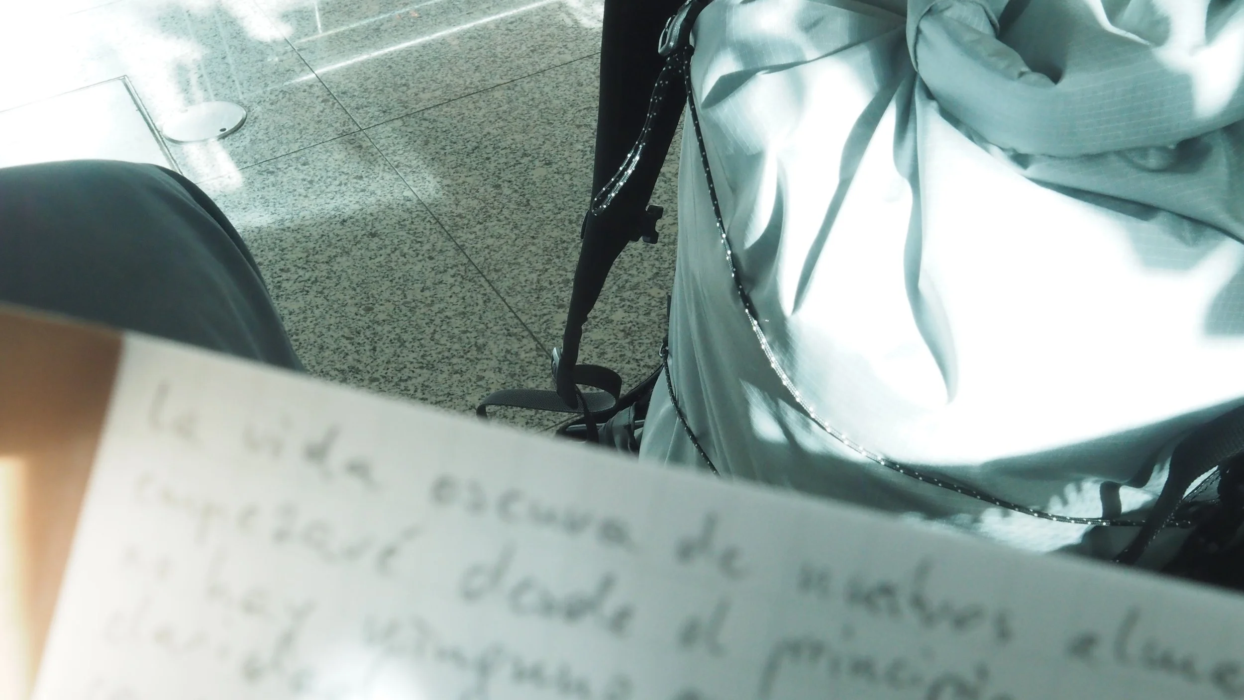 P6100036.JPG