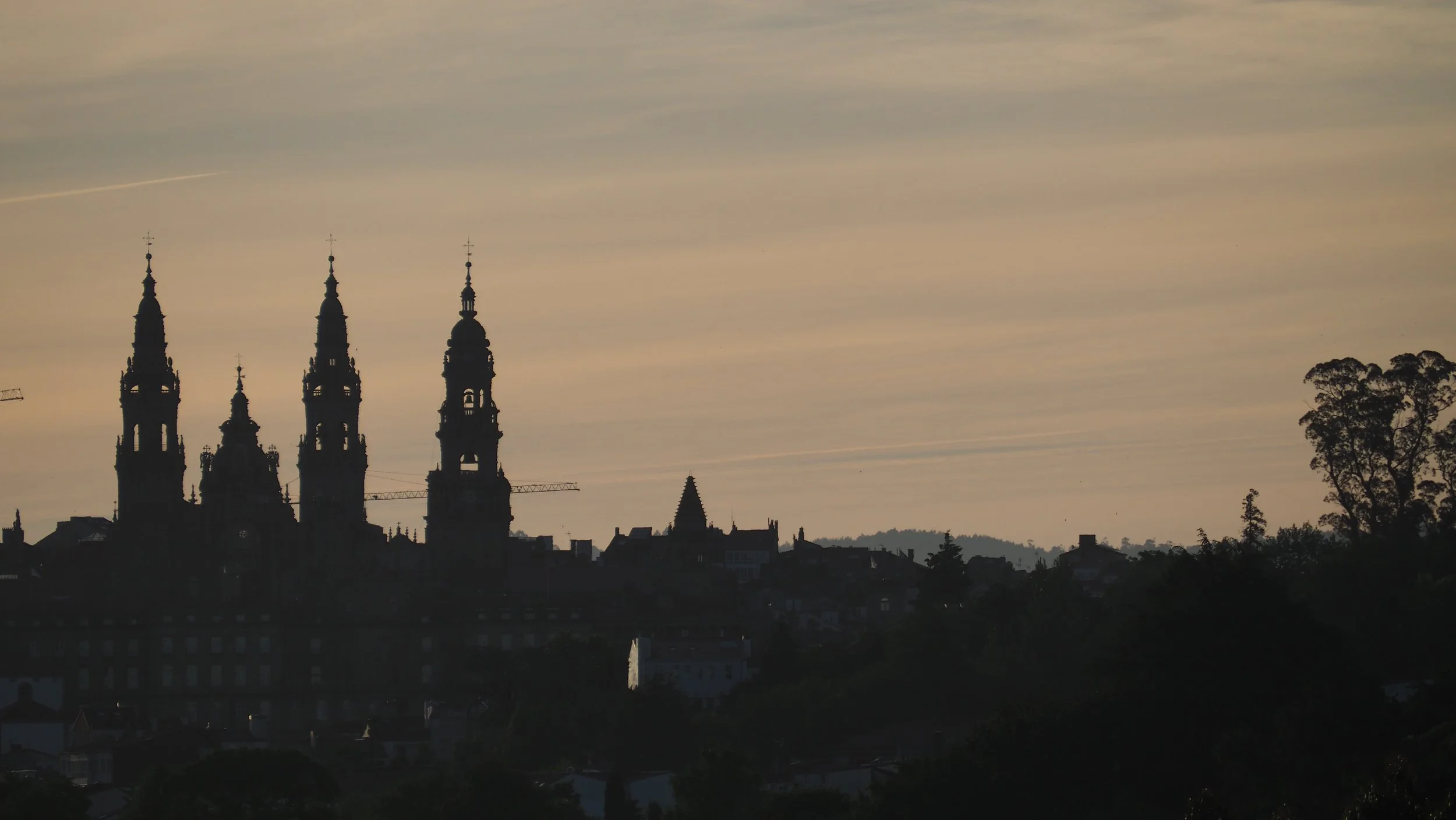 P5310134.JPG