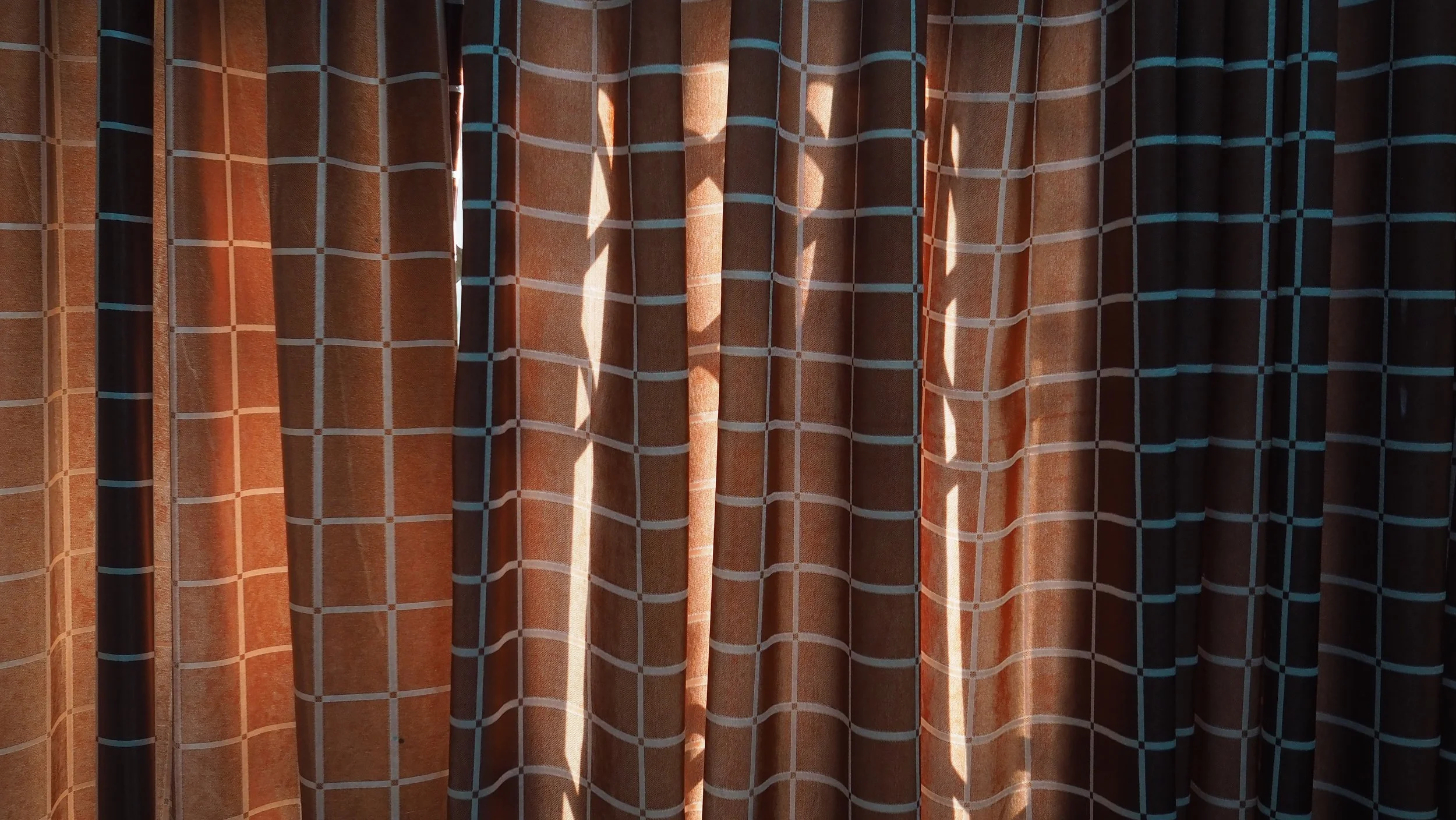 PA110006.JPG
