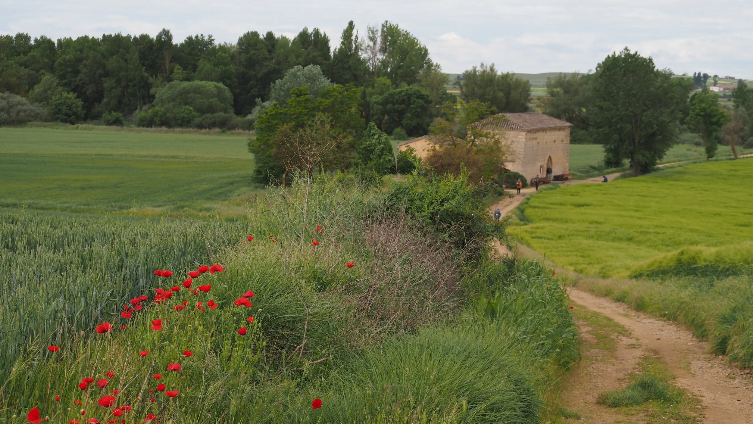 P5131528.JPG