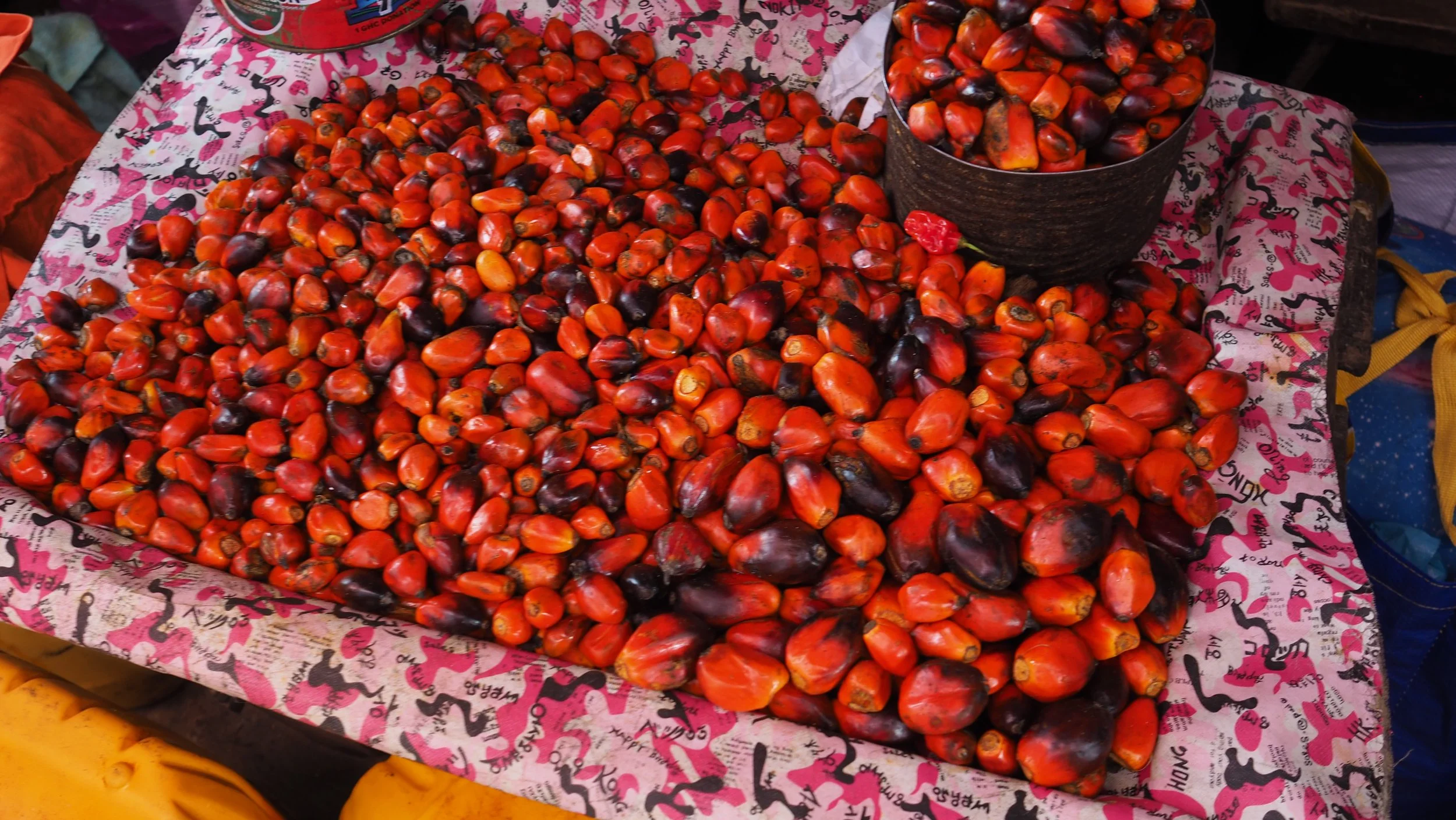 PA120214.JPG