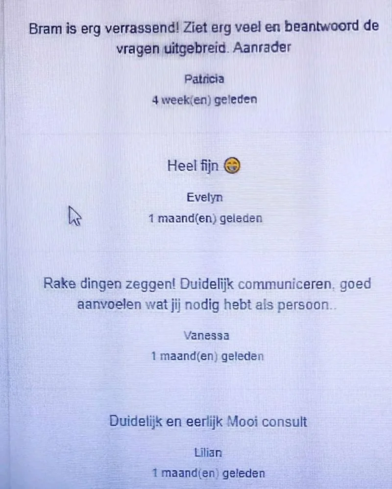 Een digitale tekst met berichtjes van verschillende personen, waarin ze beoordelingen en reviews geven over hun consult ervaring met Meester Bram, met namen zoals Patricia, Evelyn, Vanessa en Lilian.