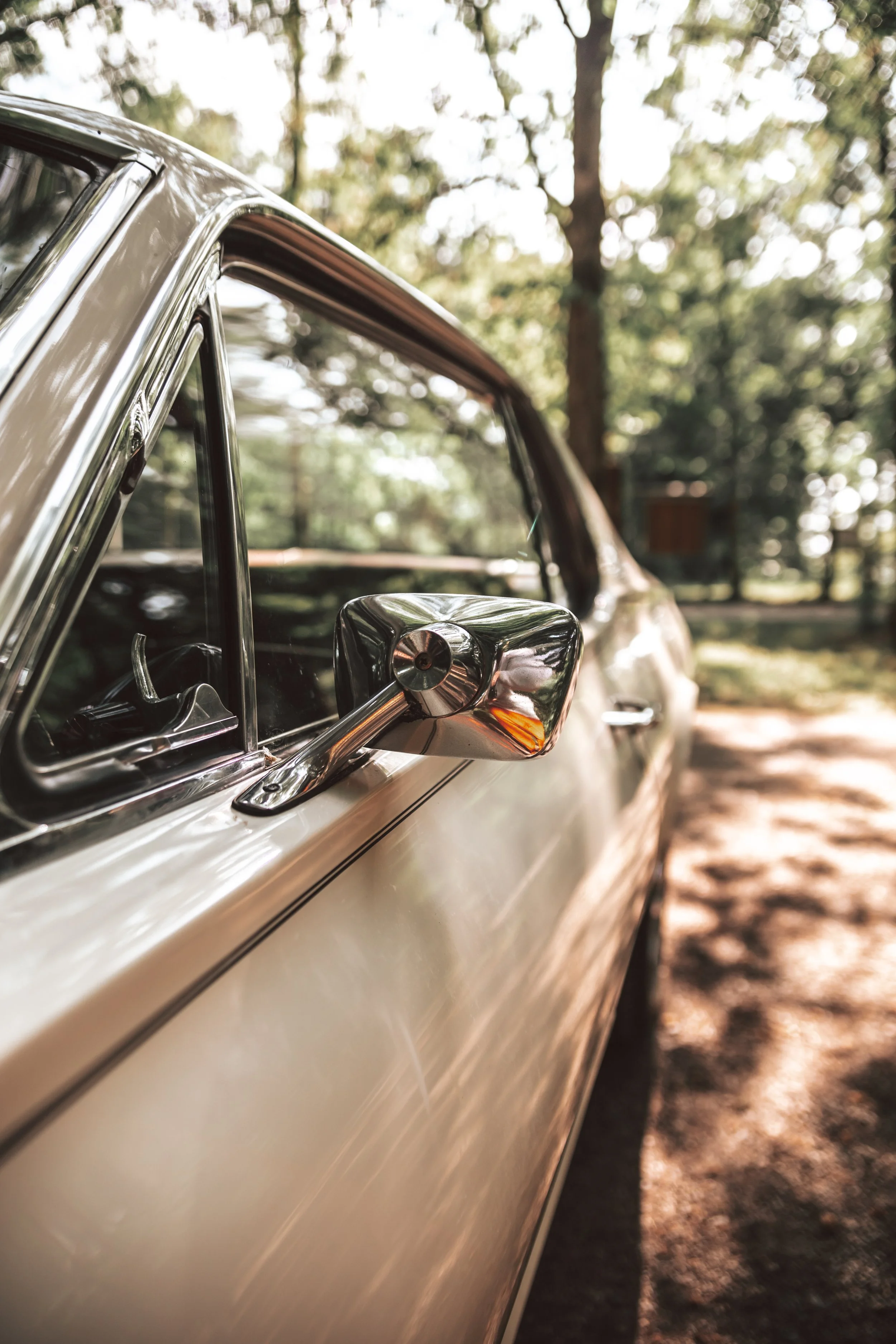 Nahaufnahme des Außenspiegels eines weißen Autos, das auf einem schattigen Waldweg parkiert ist.
