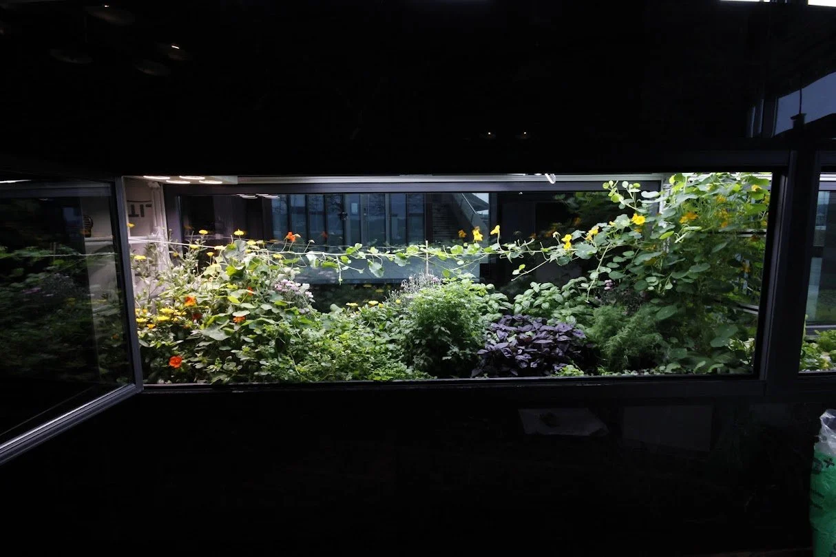 Restaurant Farming — Sjømagasinet