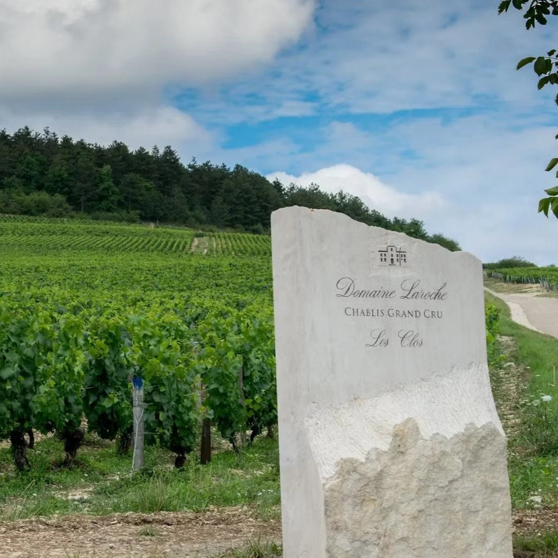 Winemakers Dinner med Domaine Laroche - torsdag 6. november 2025