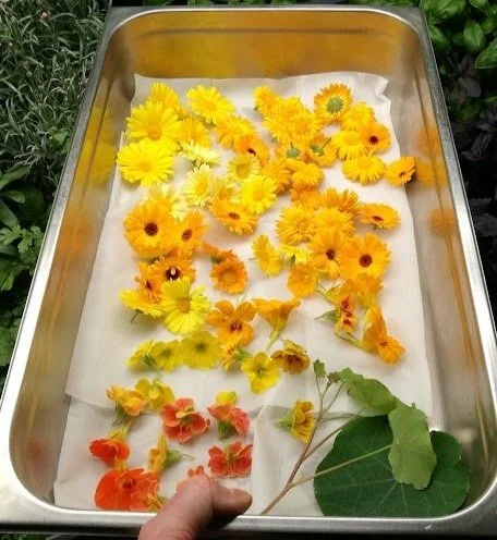 Restaurant Farming Dinner - torsdag 11. mai. 2023