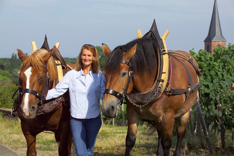 Winemakers Dinner med Dr.Bürklin-Wolf - 22. april 2026