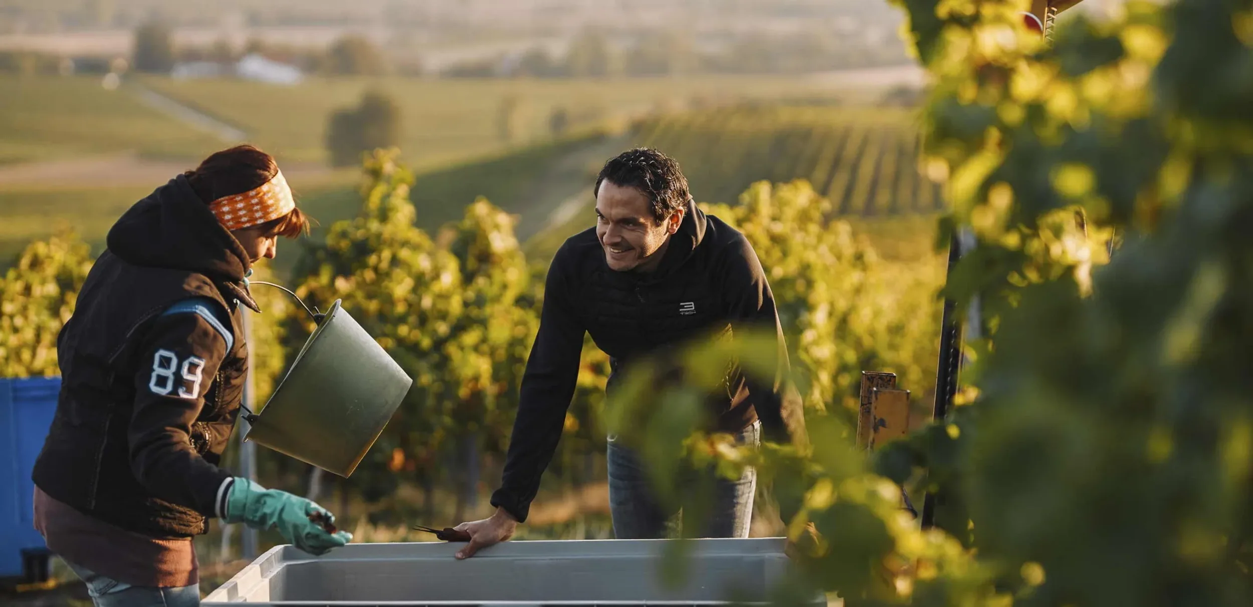 Winemakers Dinner med Stefan Winter - 29. juni