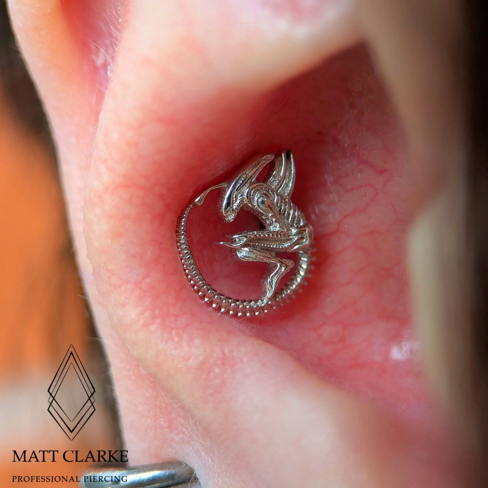 Xenomorph alien 14kt white gold Symmetry Jewellery conch piercing