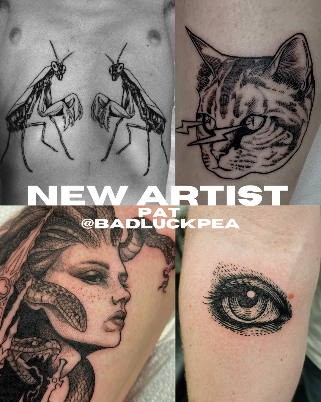 Collage of four tattoo designs: top left features two detailed black and gray insects, top right shows a cat's head with a lightning bolt through its eye, bottom left depicts a woman with a snake wrapped around her head, and bottom right displays a realistic eye tattoo.