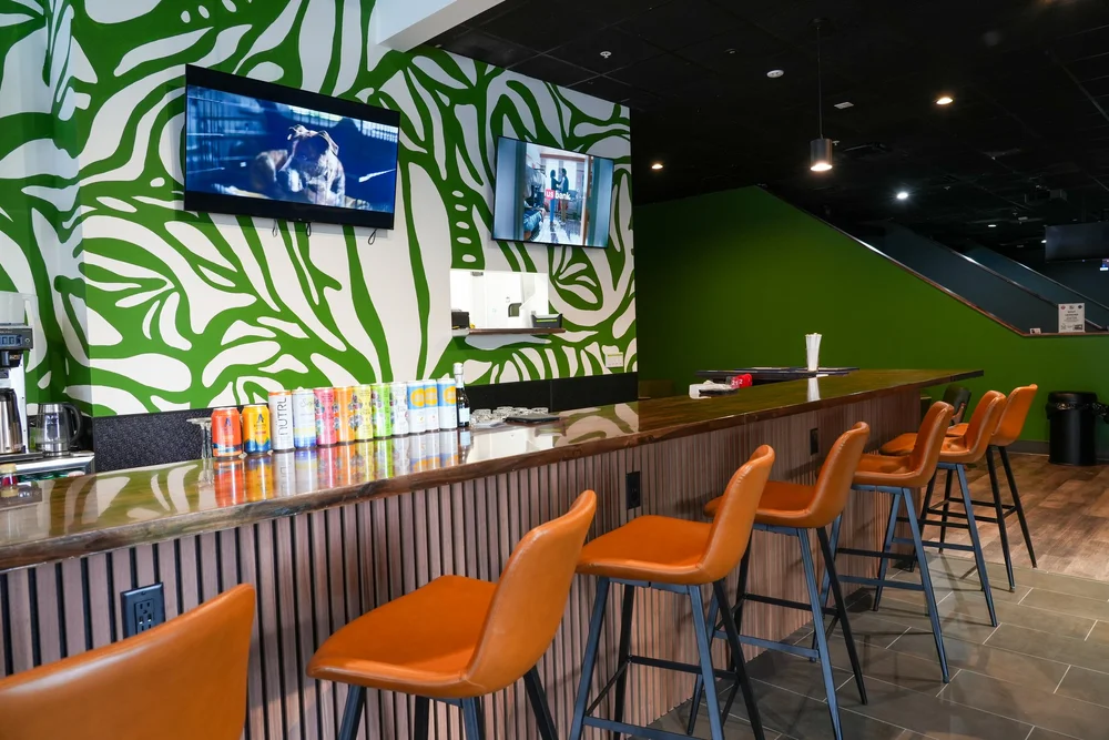 Bar photo 2