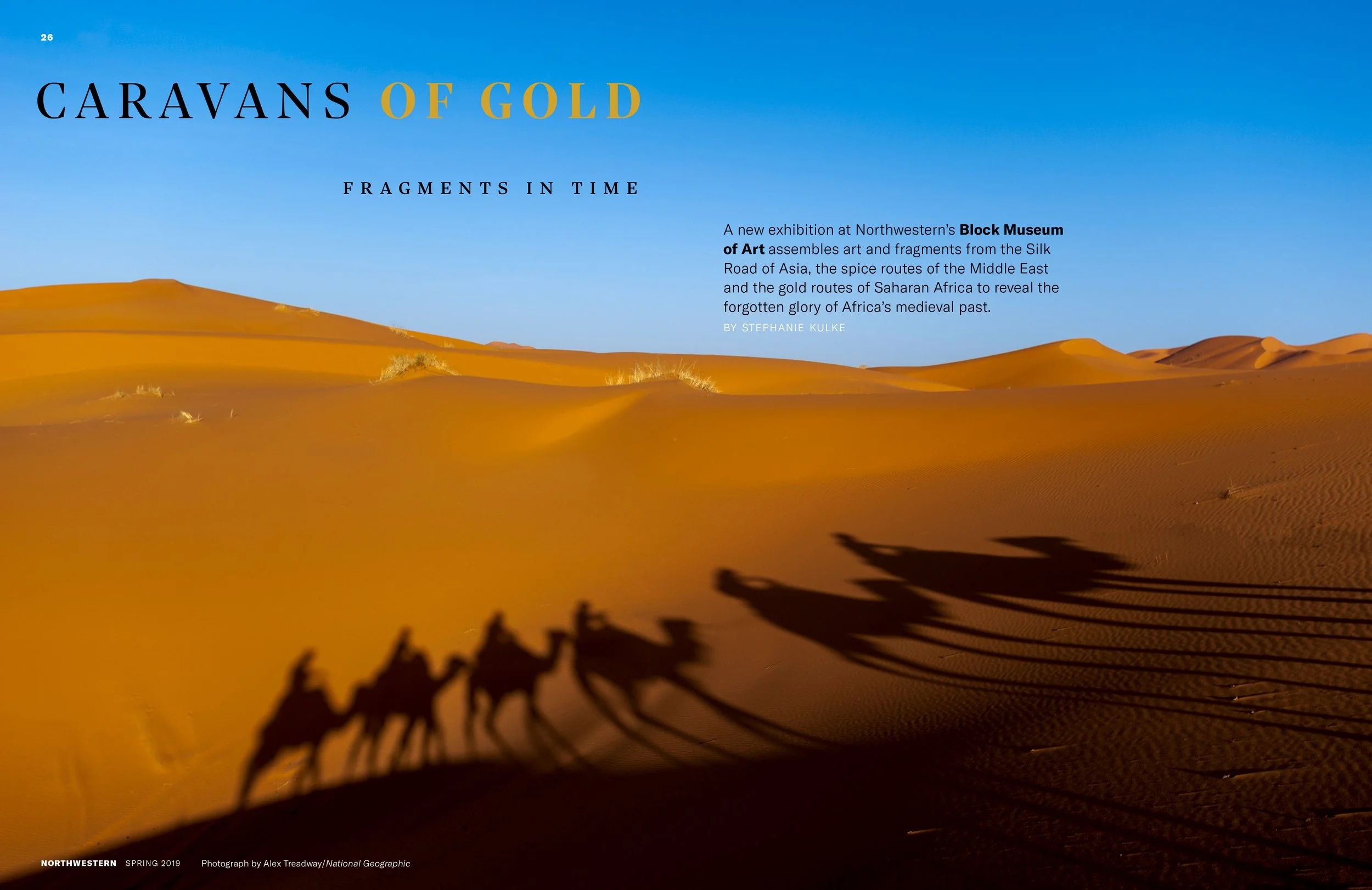 Sand dunes in a desert under a clear blue sky, with shadows of camels in the foreground.